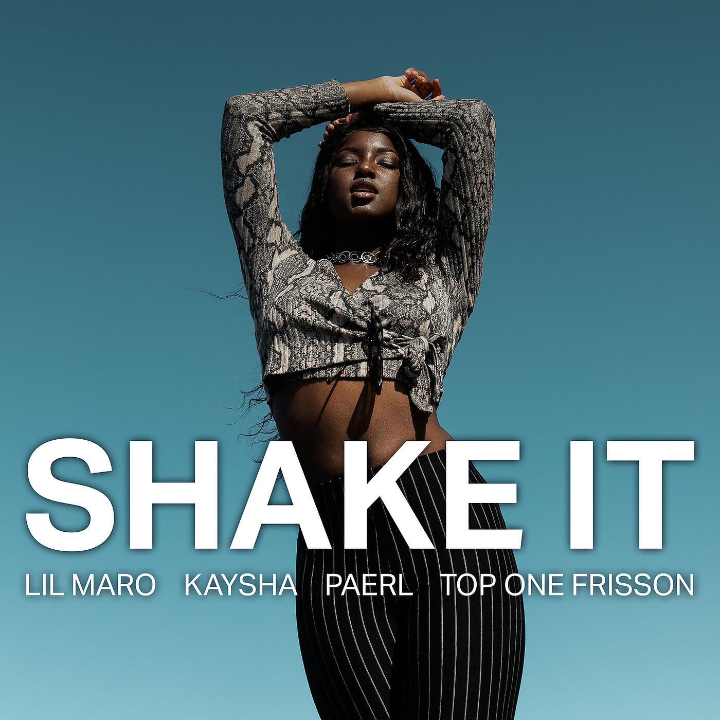 Релиз Shake It
