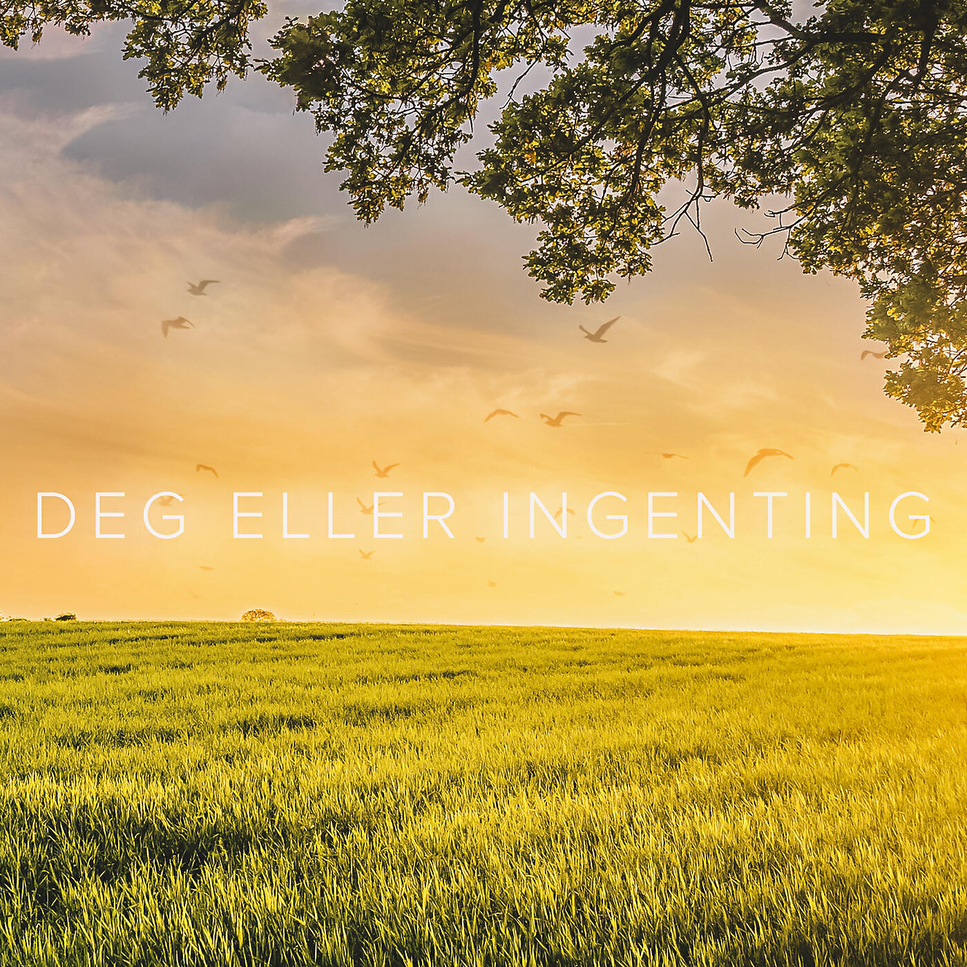 Релиз Deg Eller Ingenting