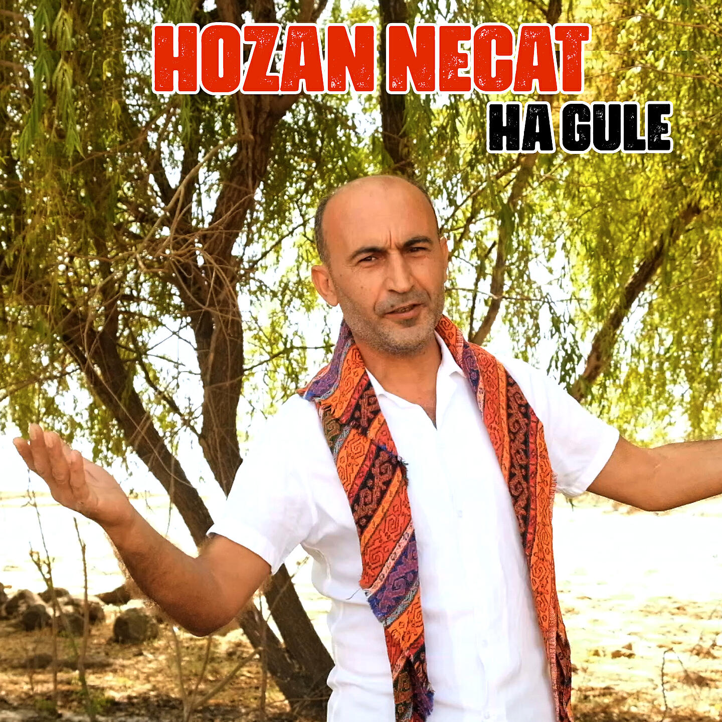 Релиз Ha Gule