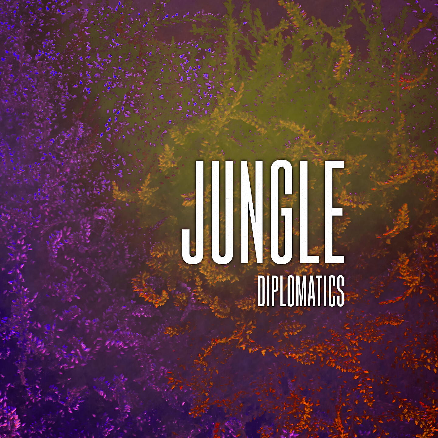 Релиз Jungle