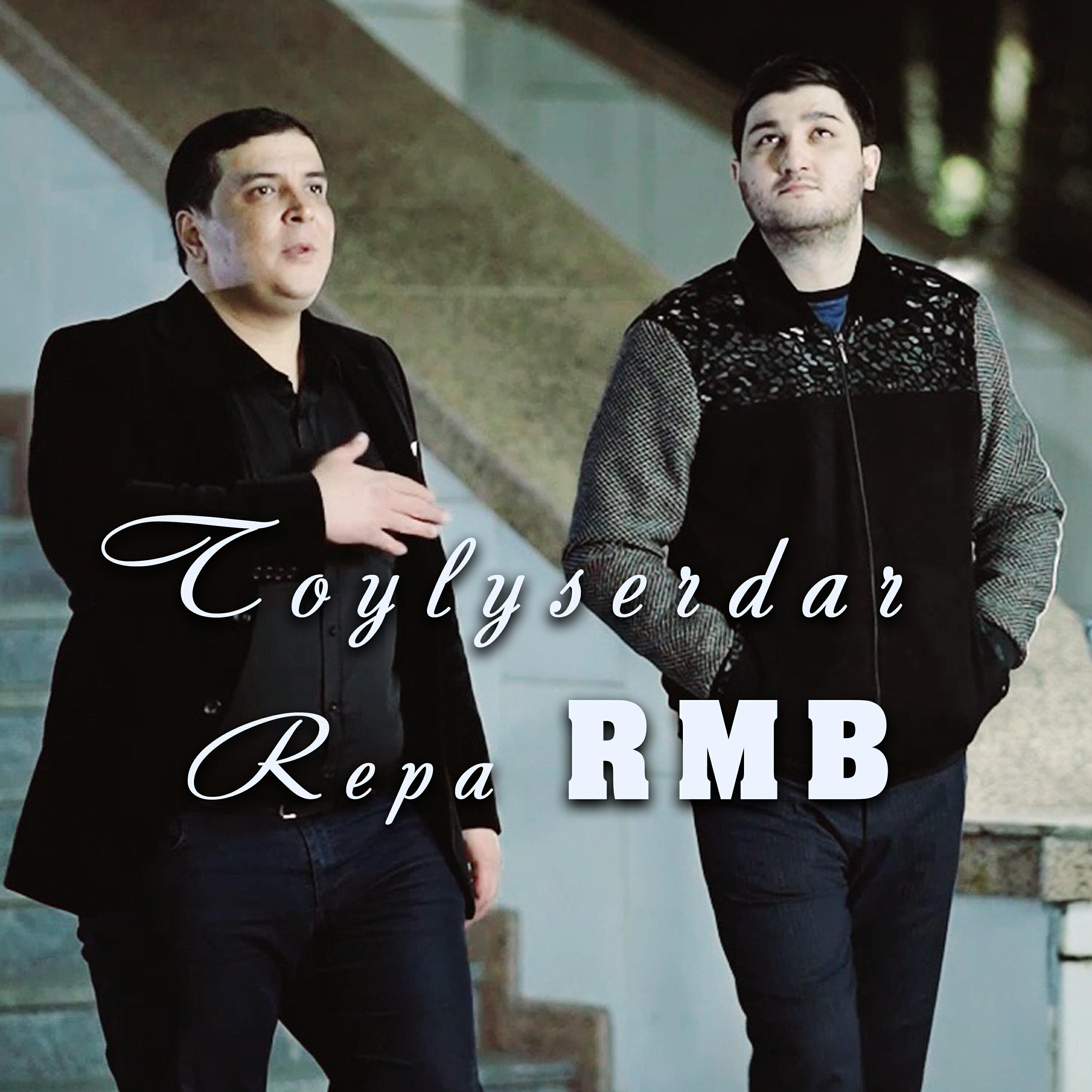 Toylyserdar