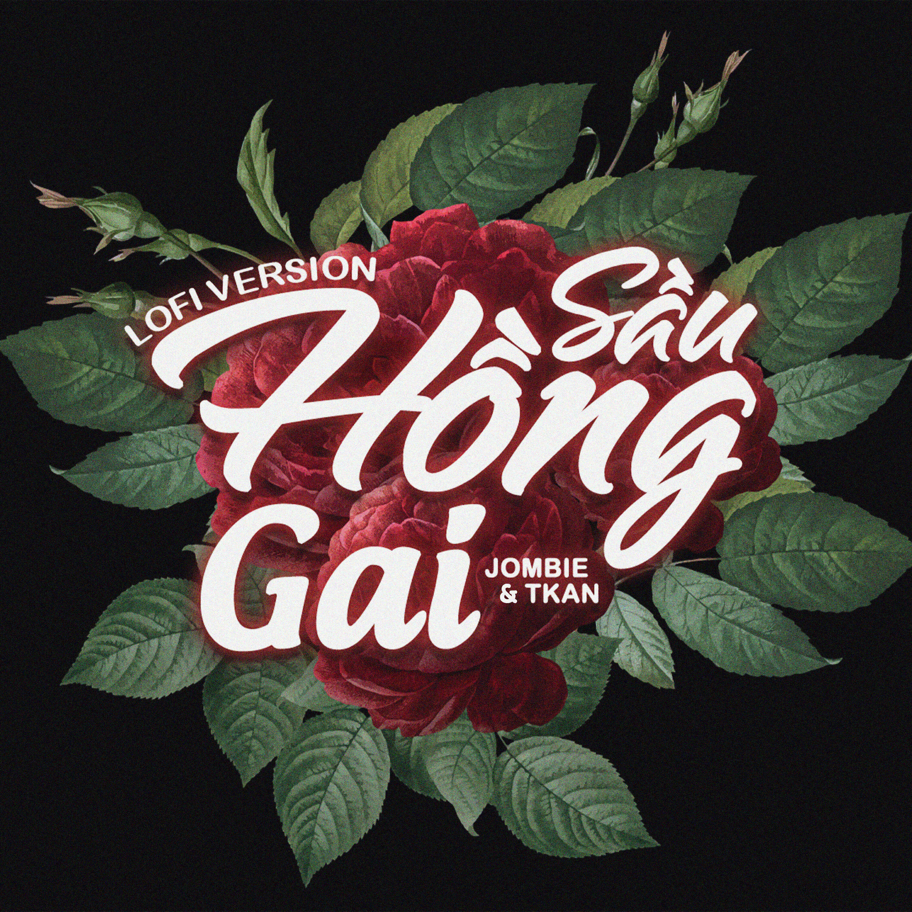 Релиз Sầu Hồng Gai (Lofi Version)