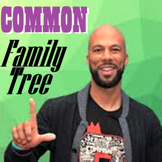 Релиз Family Tree