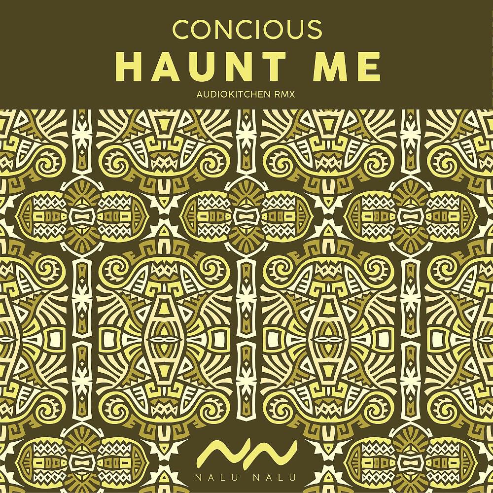 Релиз Haunt Me (Audiokitchen Remix)