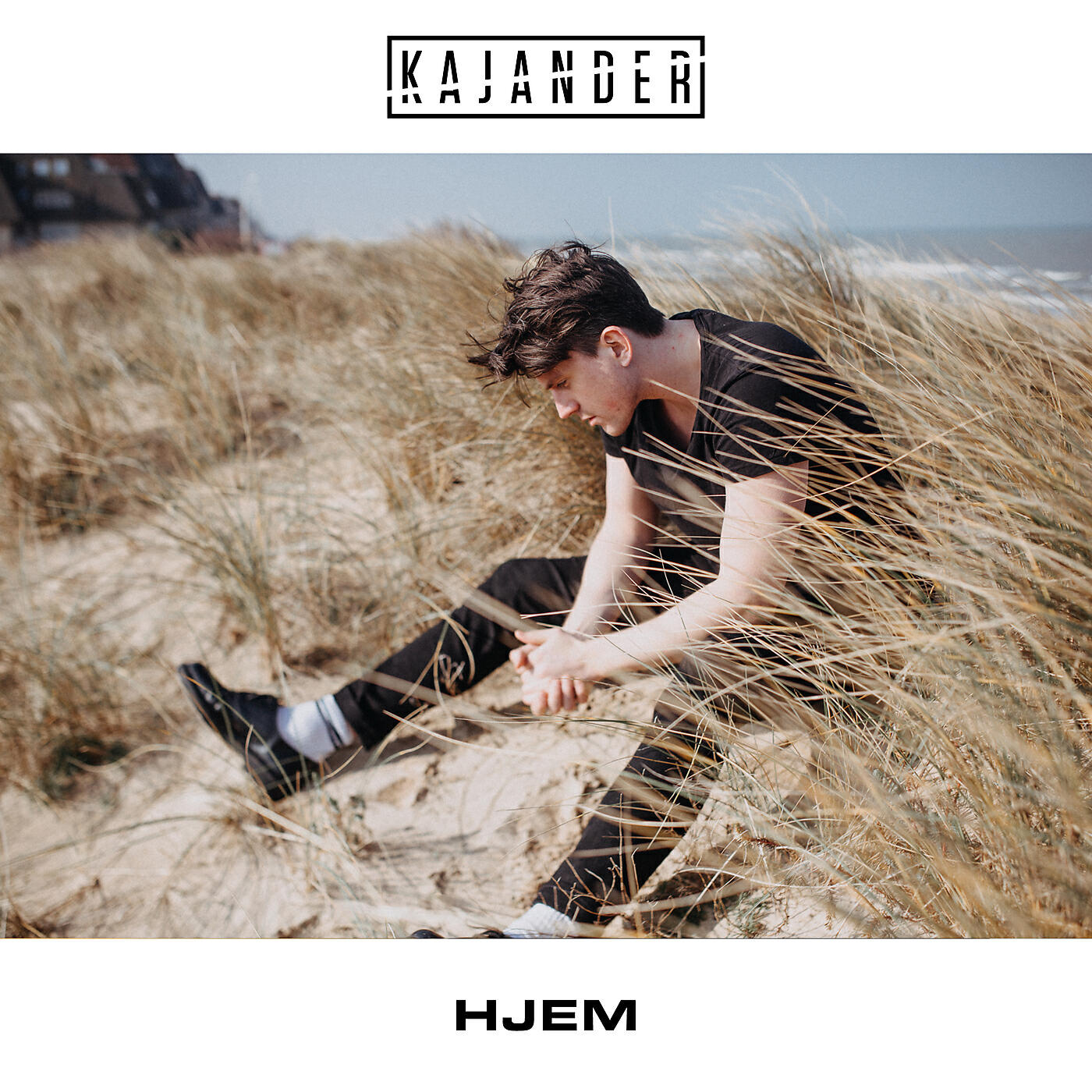 Релиз Hjem