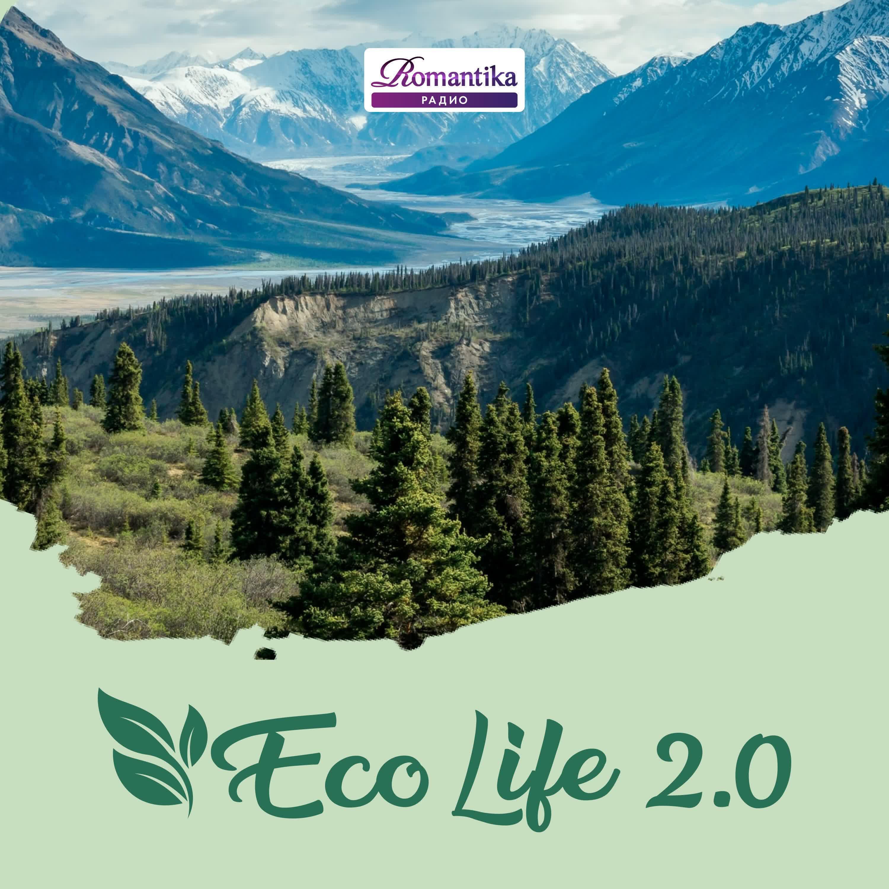 Подкаст ECO Life 2.0