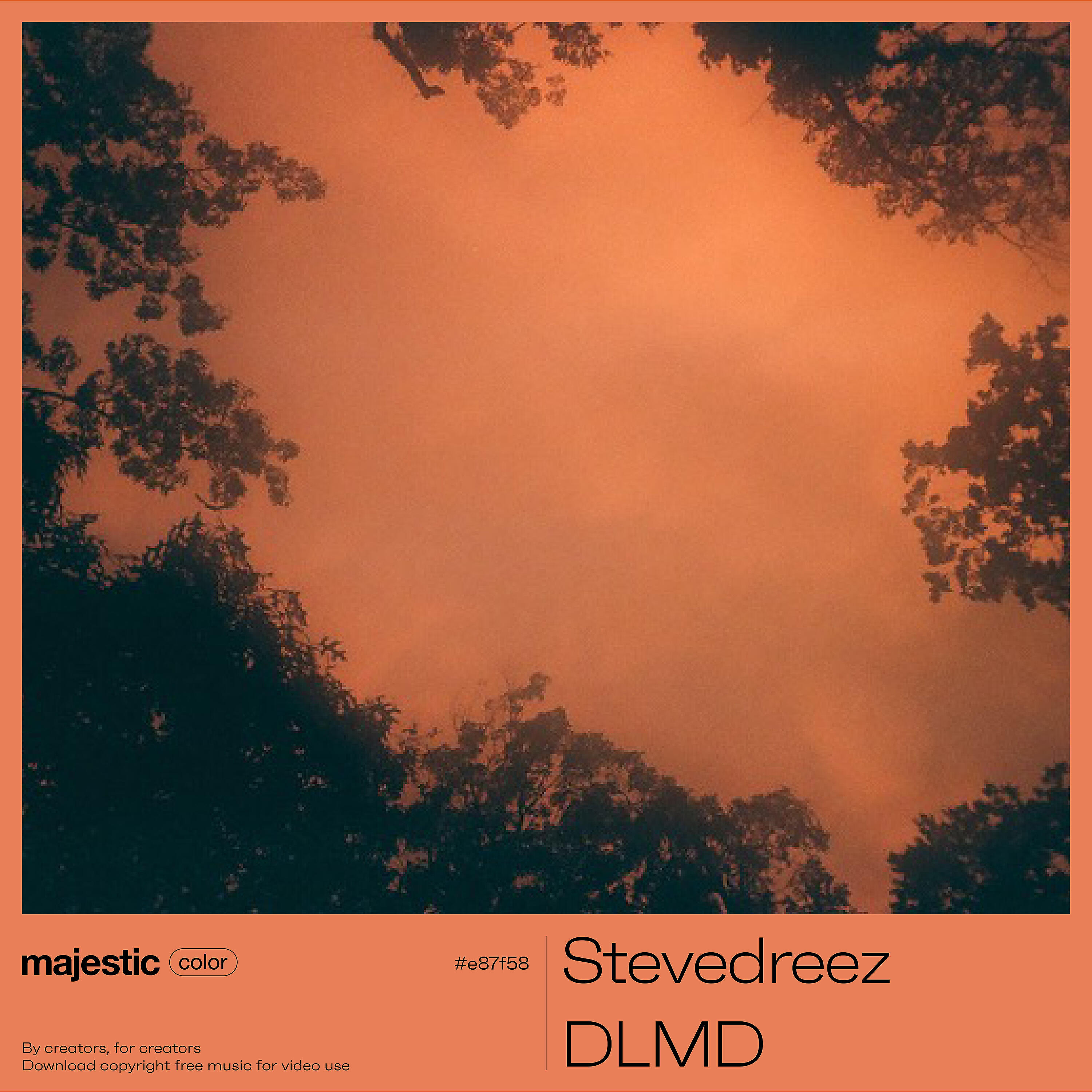 Релиз DLMD