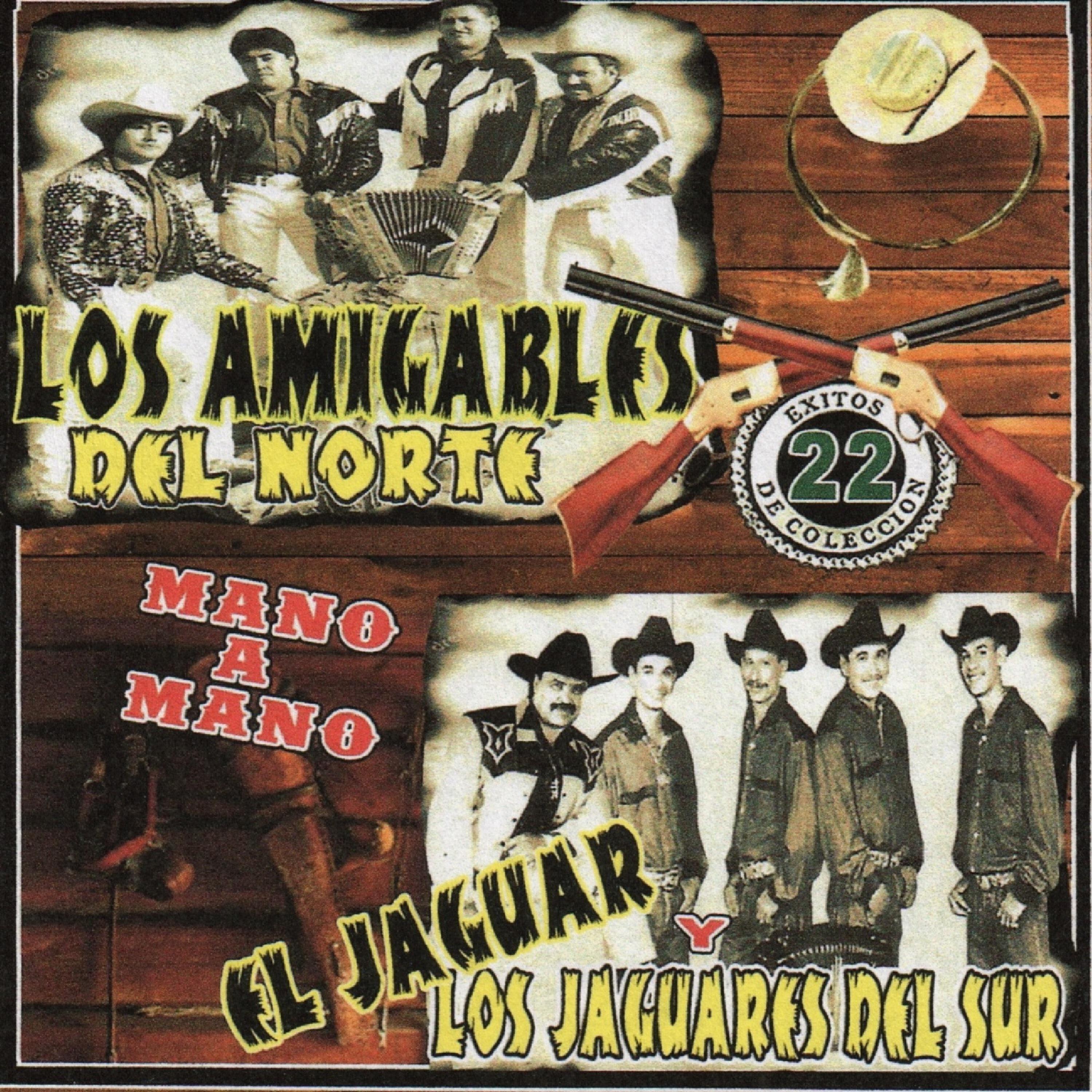 El Jaguar Y Los Jaguares Del Sur