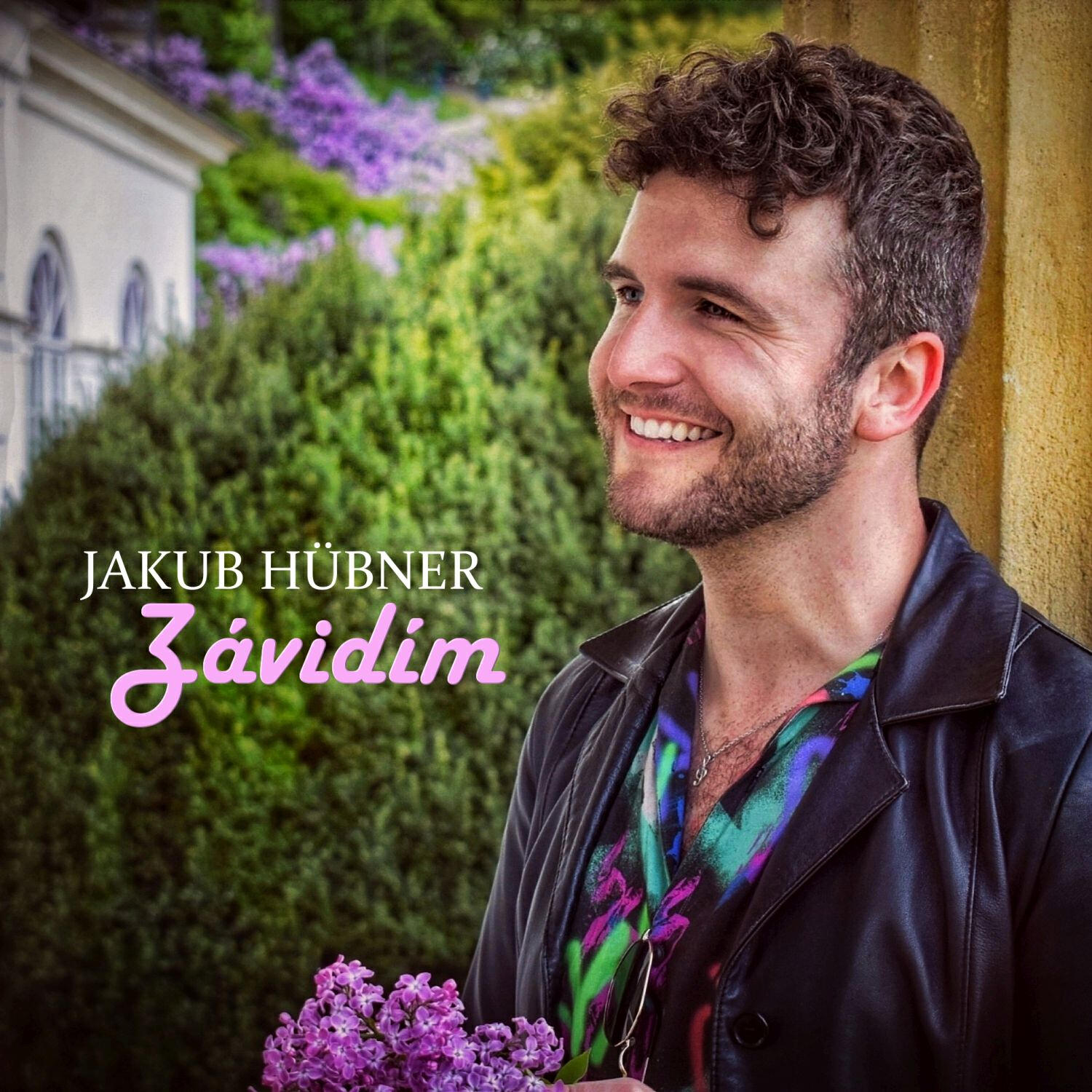Постер альбома Závidím
