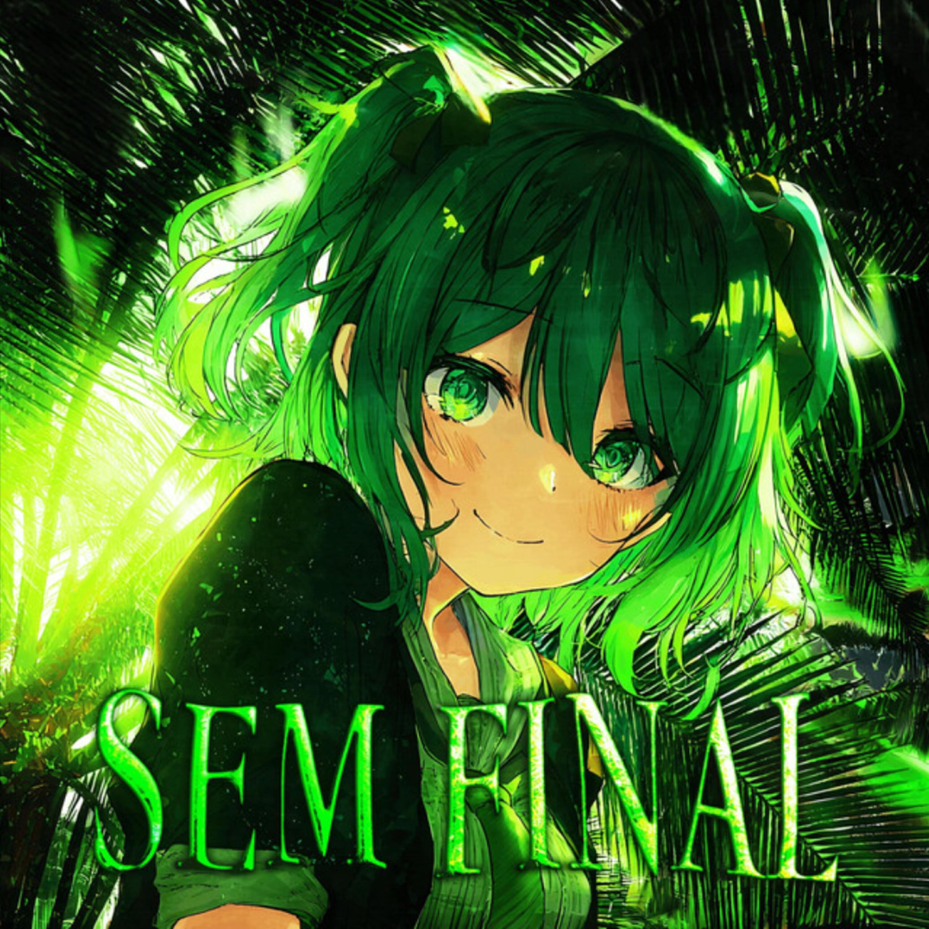 Релиз SEM FINAL