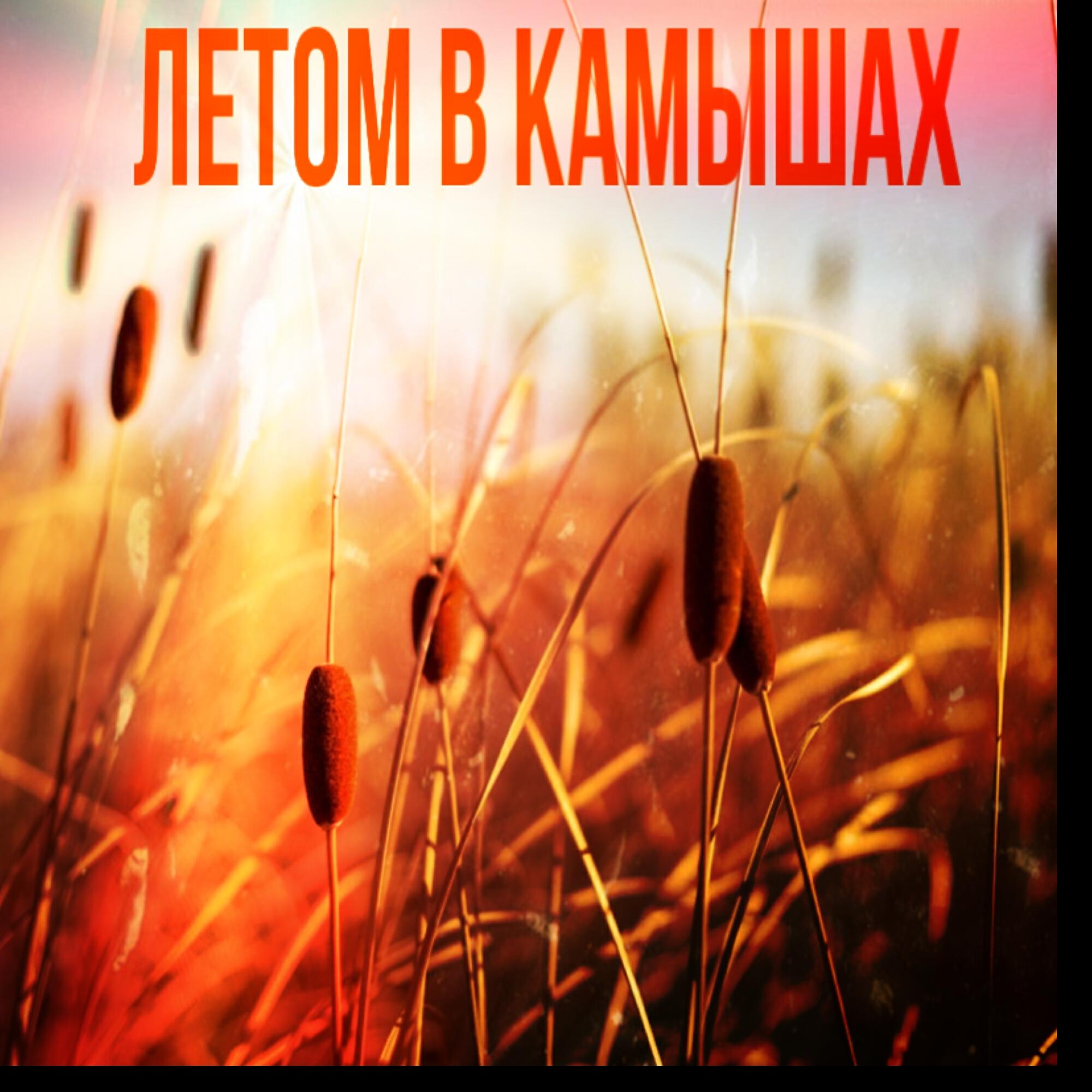 Обложка альбома