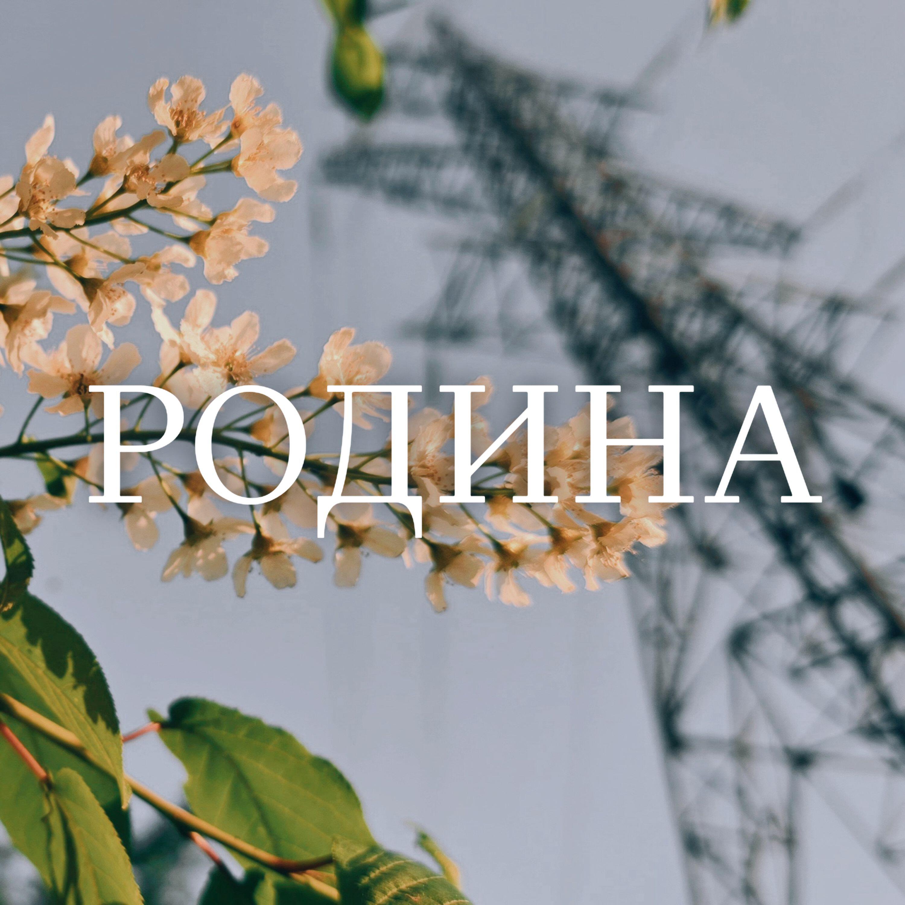 Релиз РОДИНА