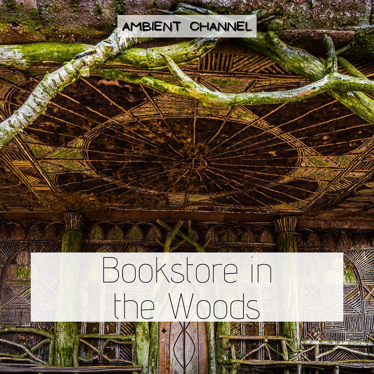 Релиз Bookstore in the Woods
