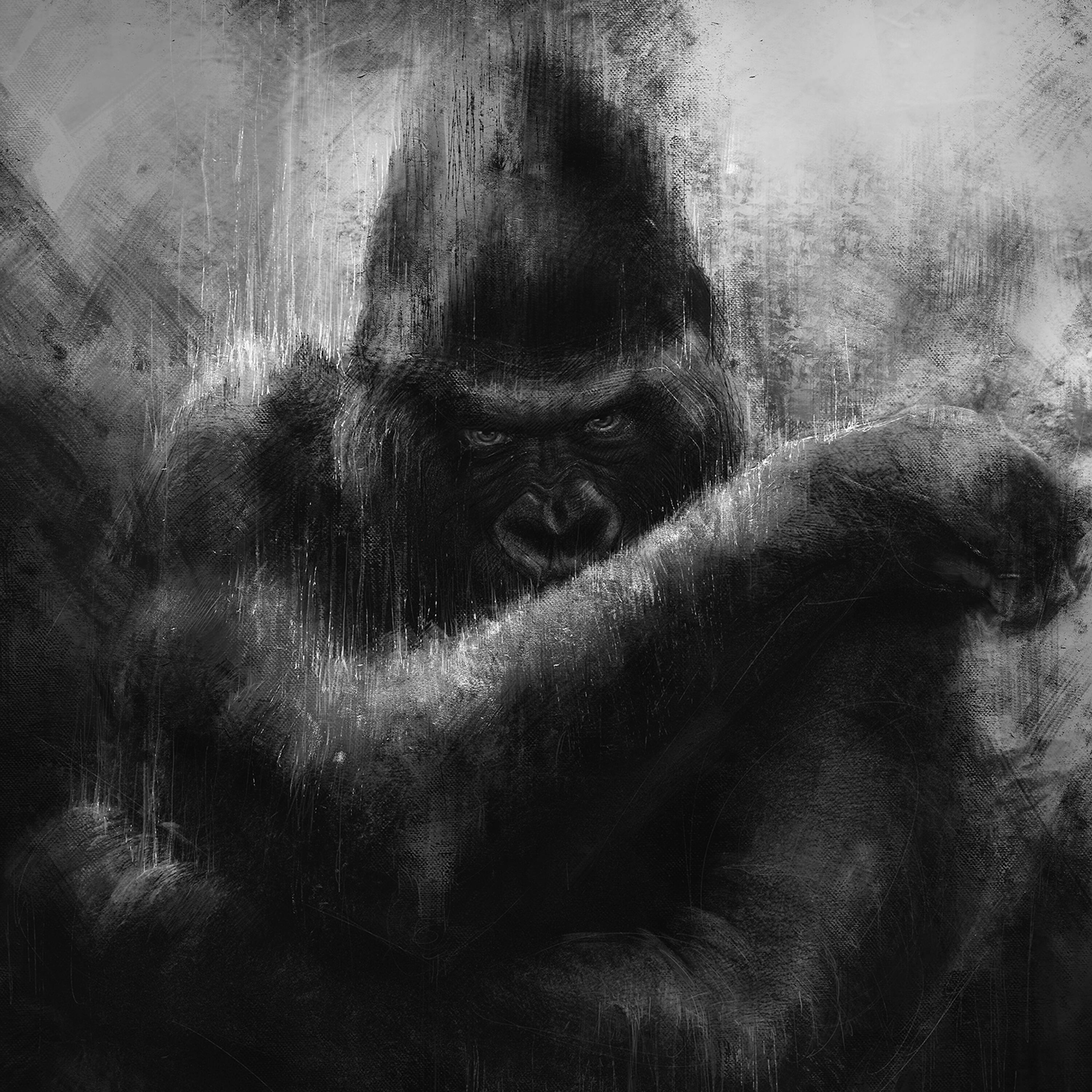 Релиз Kong