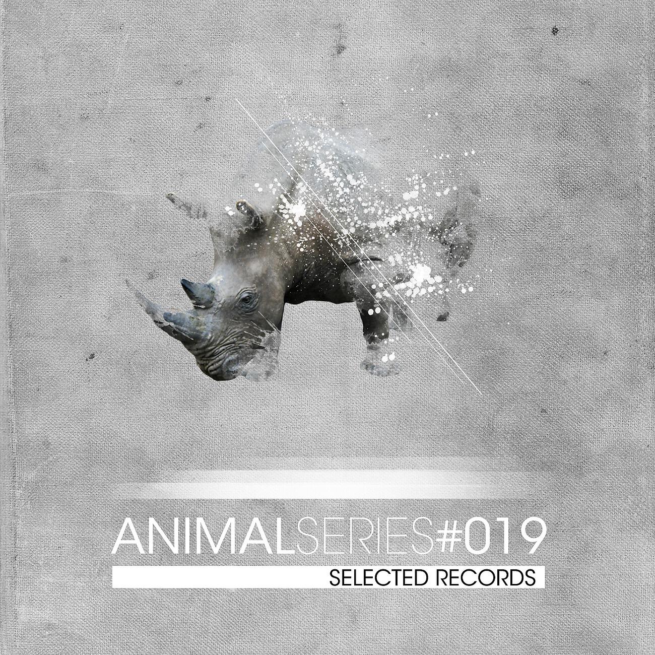 Релиз Animal Series
