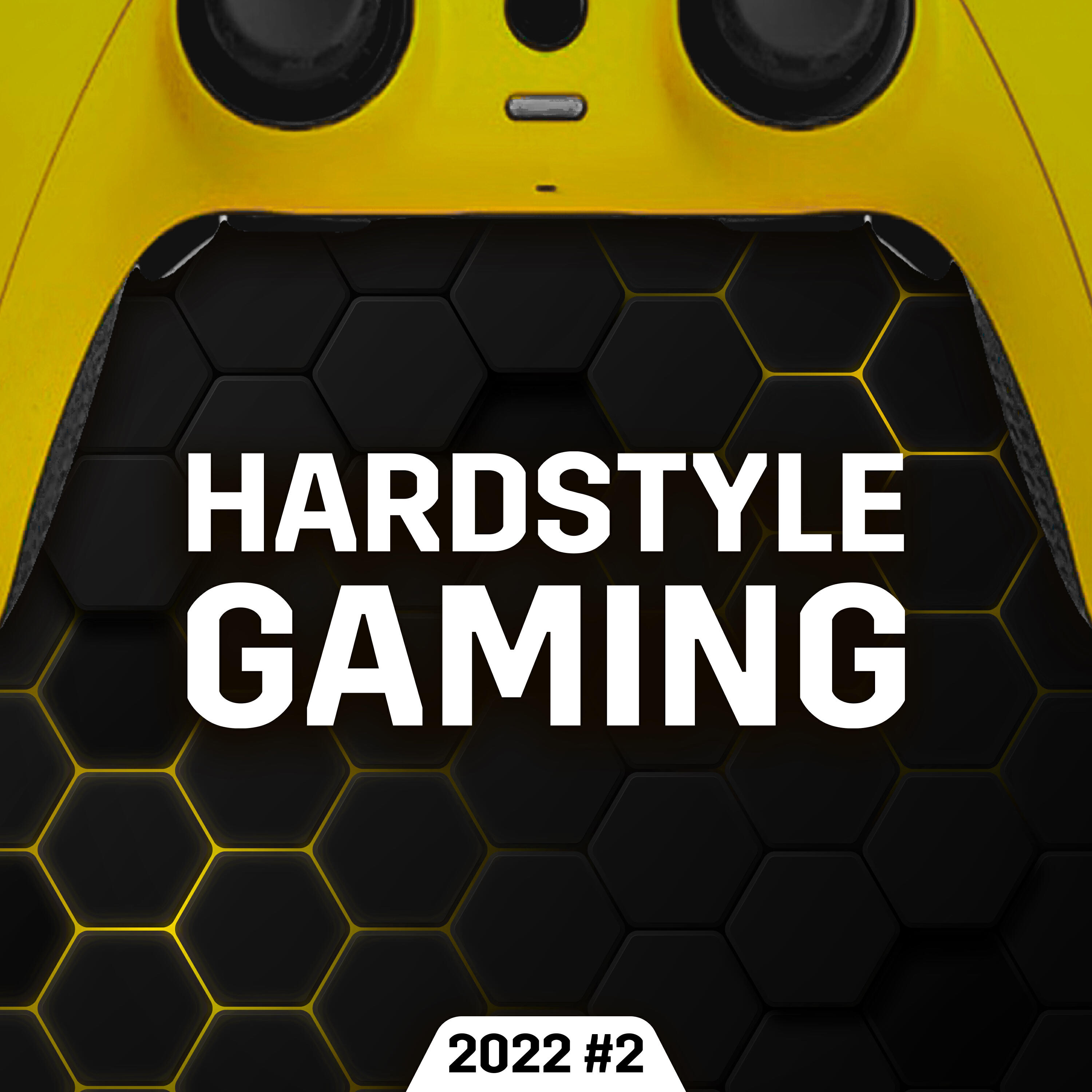 Релиз Hardstyle Gaming 2022 #2
