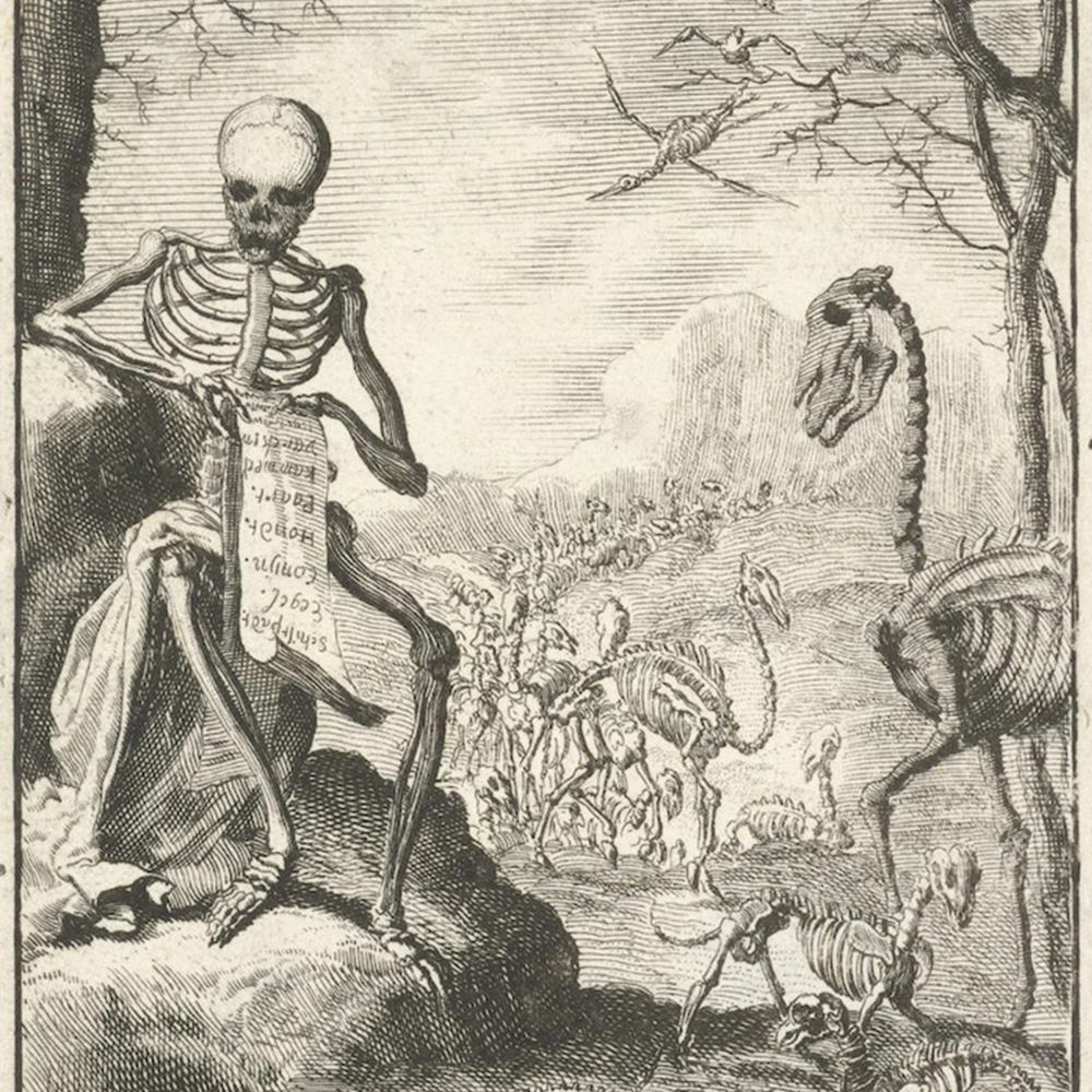 Релиз bones