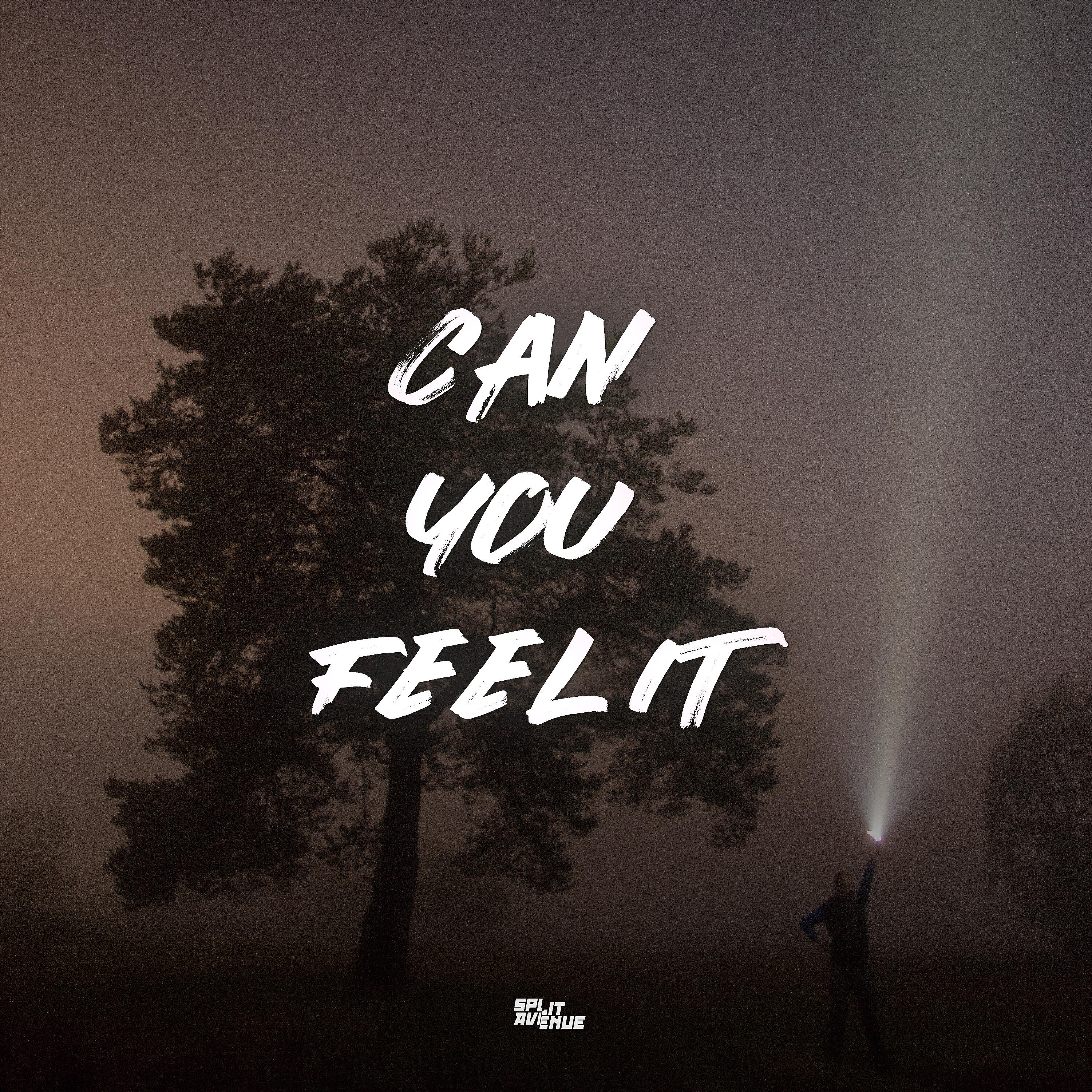 Релиз Can You Feel It
