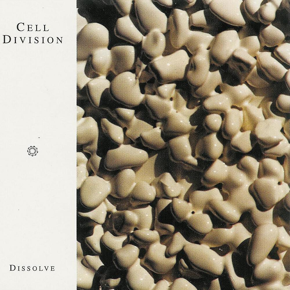 Релиз Dissolve
