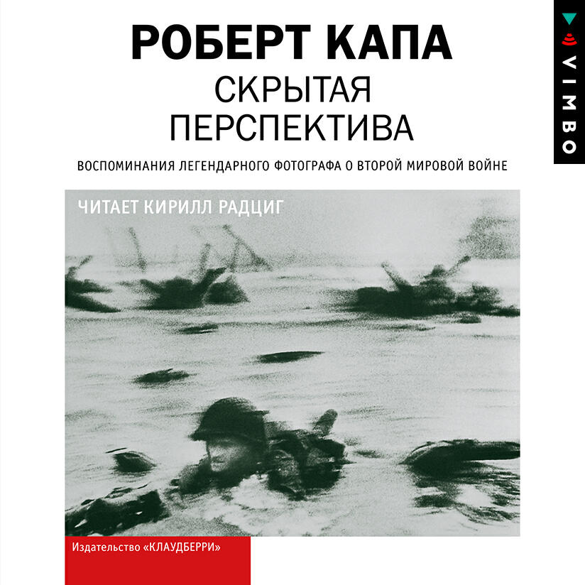 Книга Скрытая перспектива