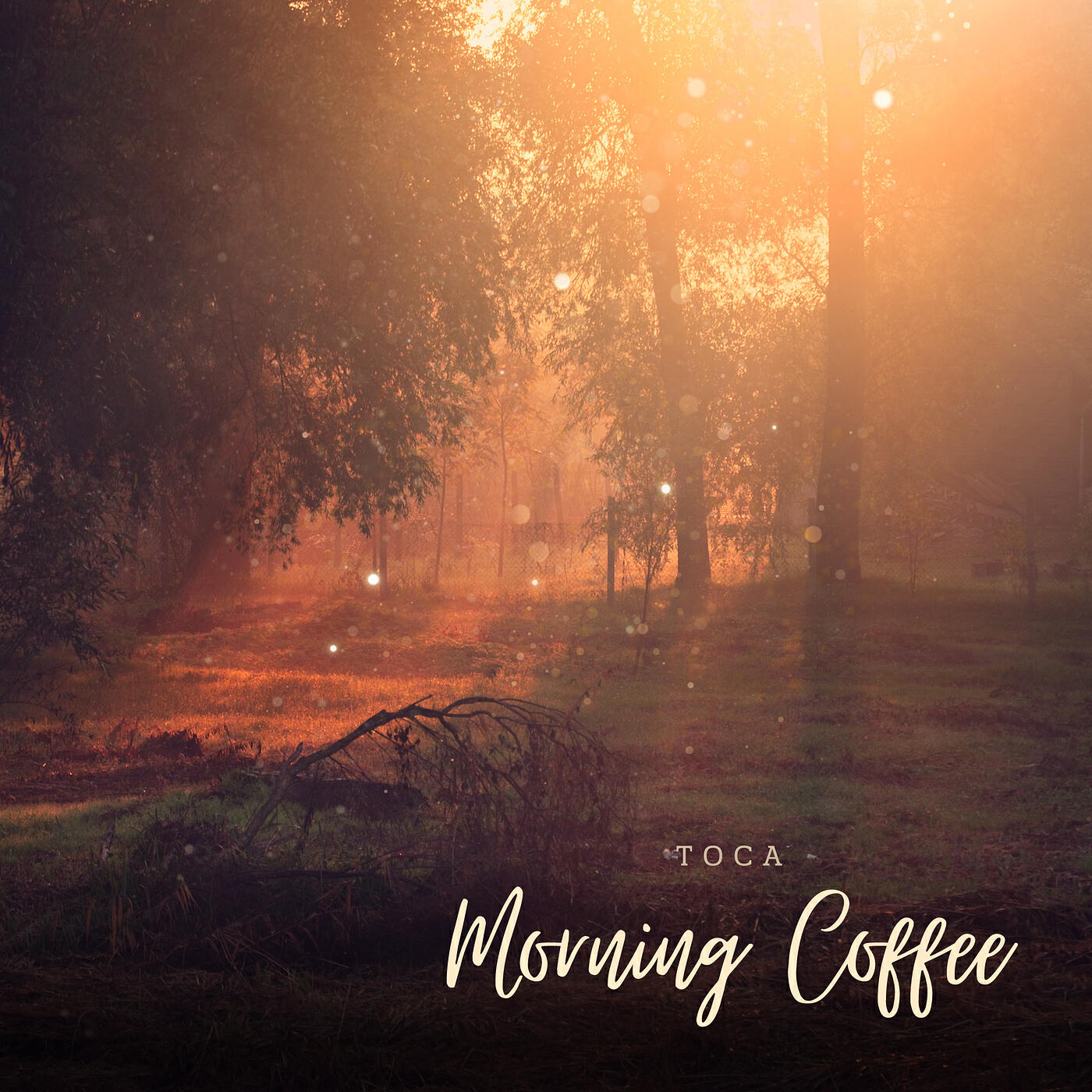 Релиз Coffee Morning