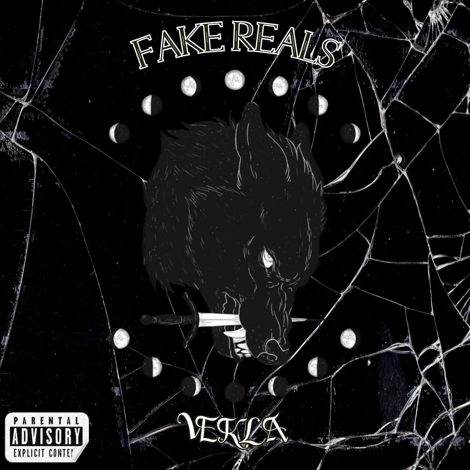 Релиз Fake Reals