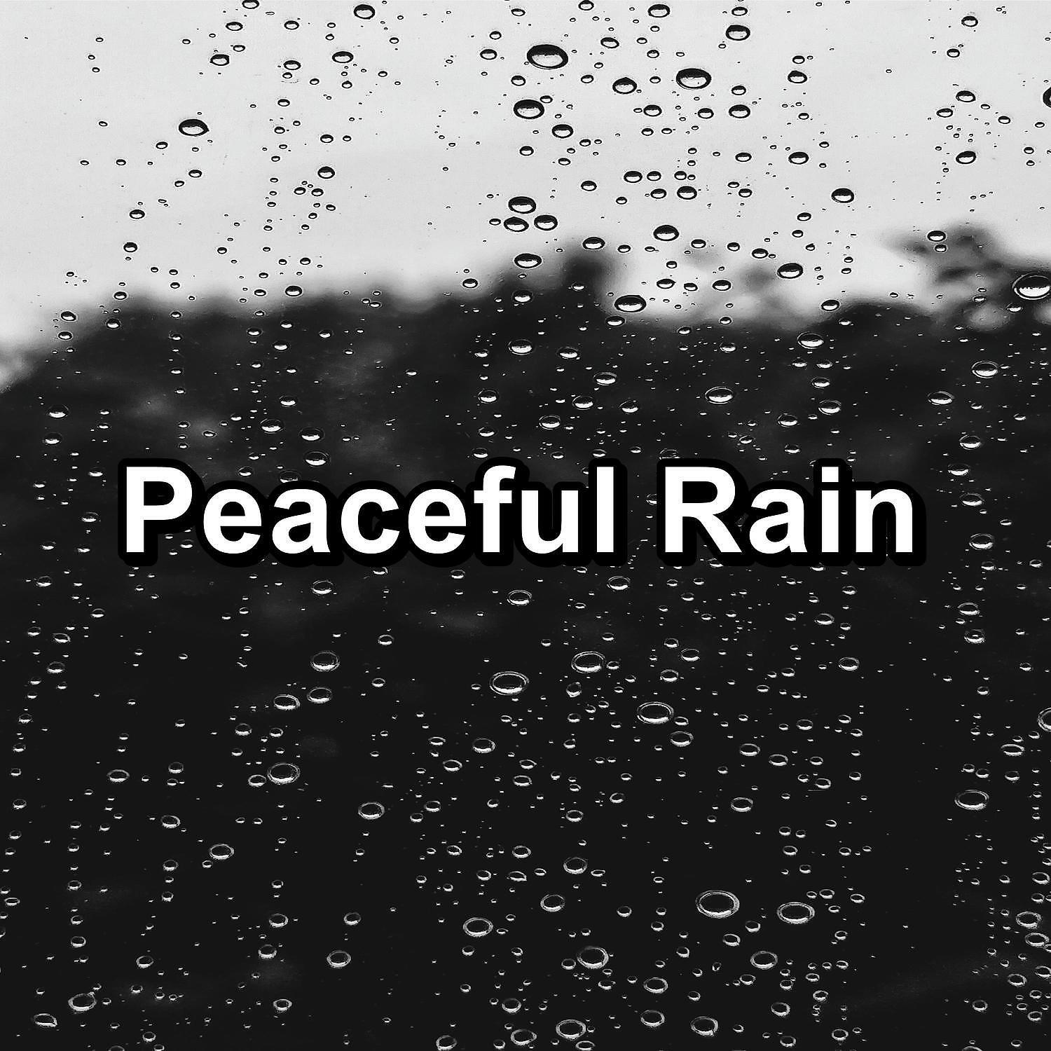 Постер альбома Peaceful Rain