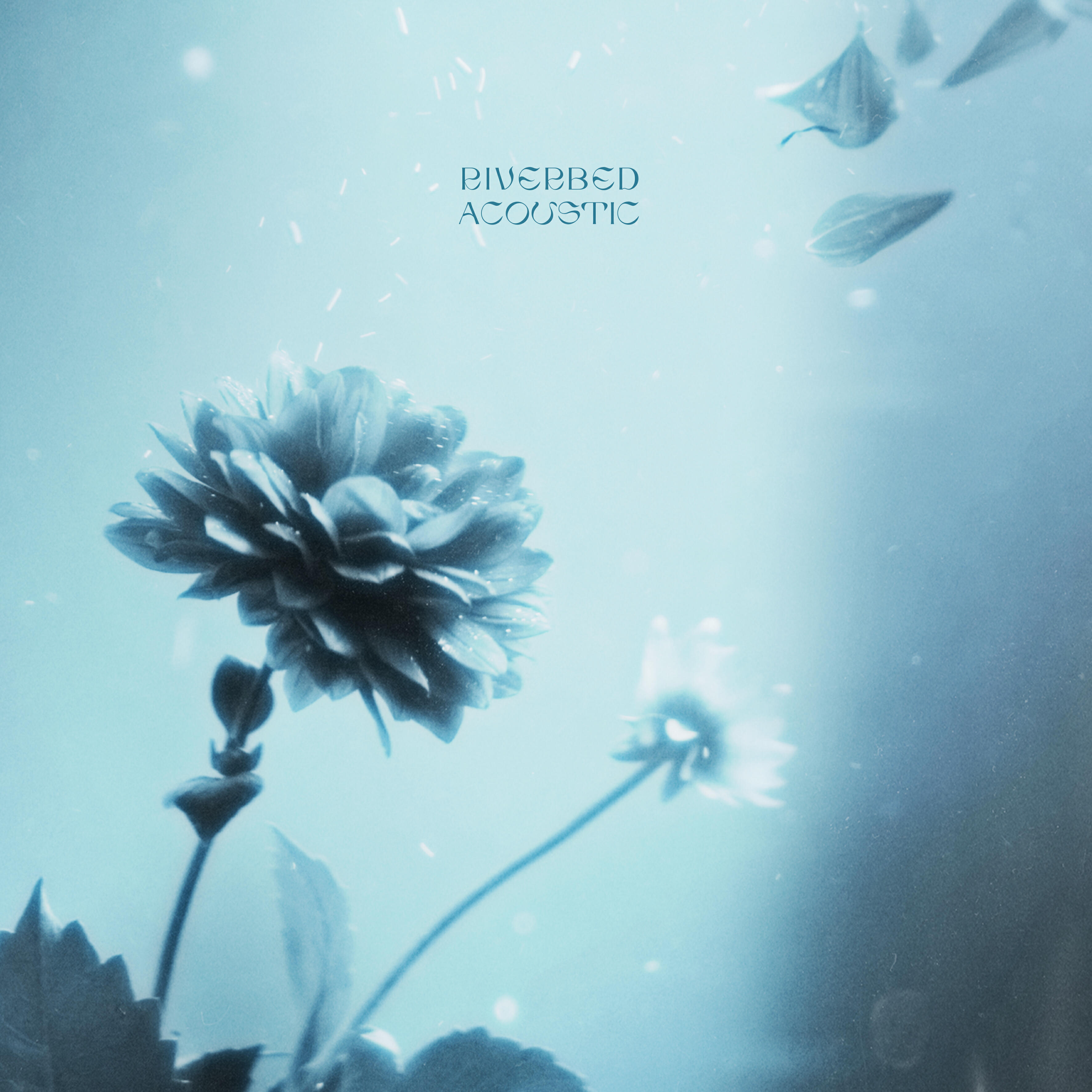 Релиз Riverbed (feat. Birdy) [Acoustic]