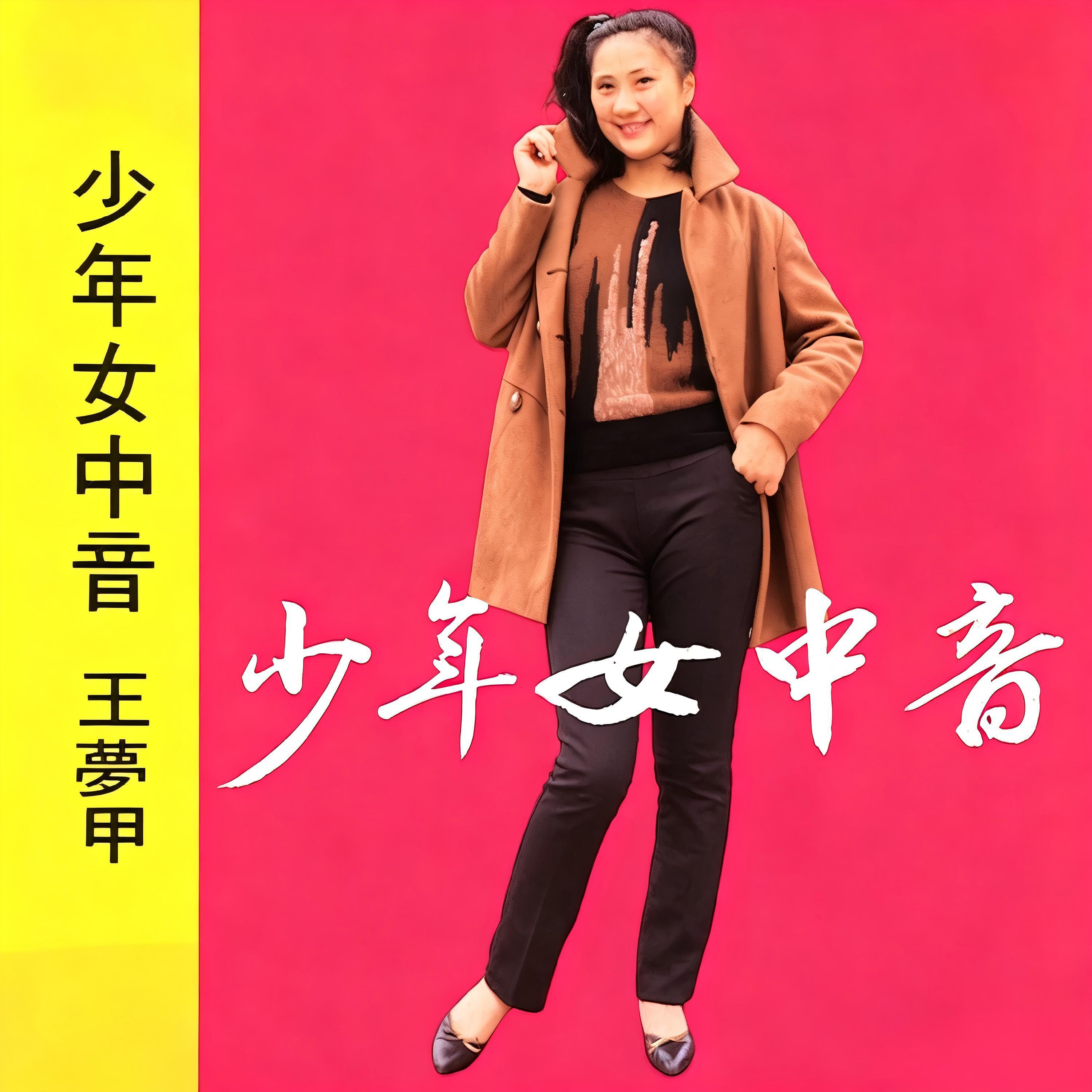 Релиз 少年女中音