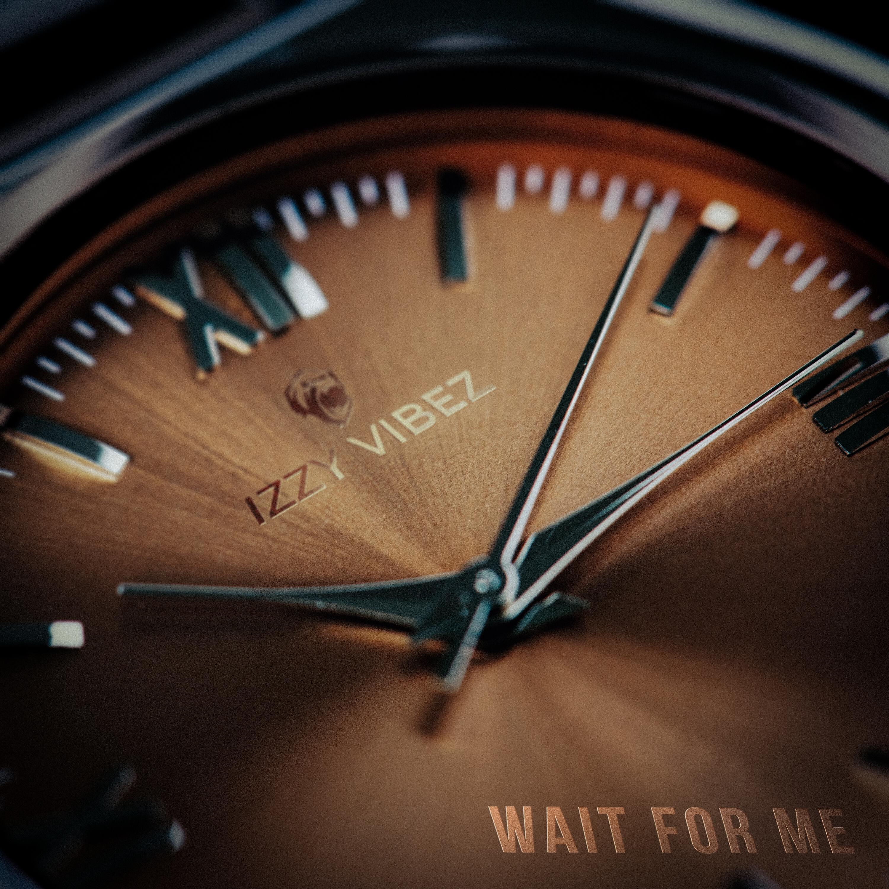 Релиз Wait for Me