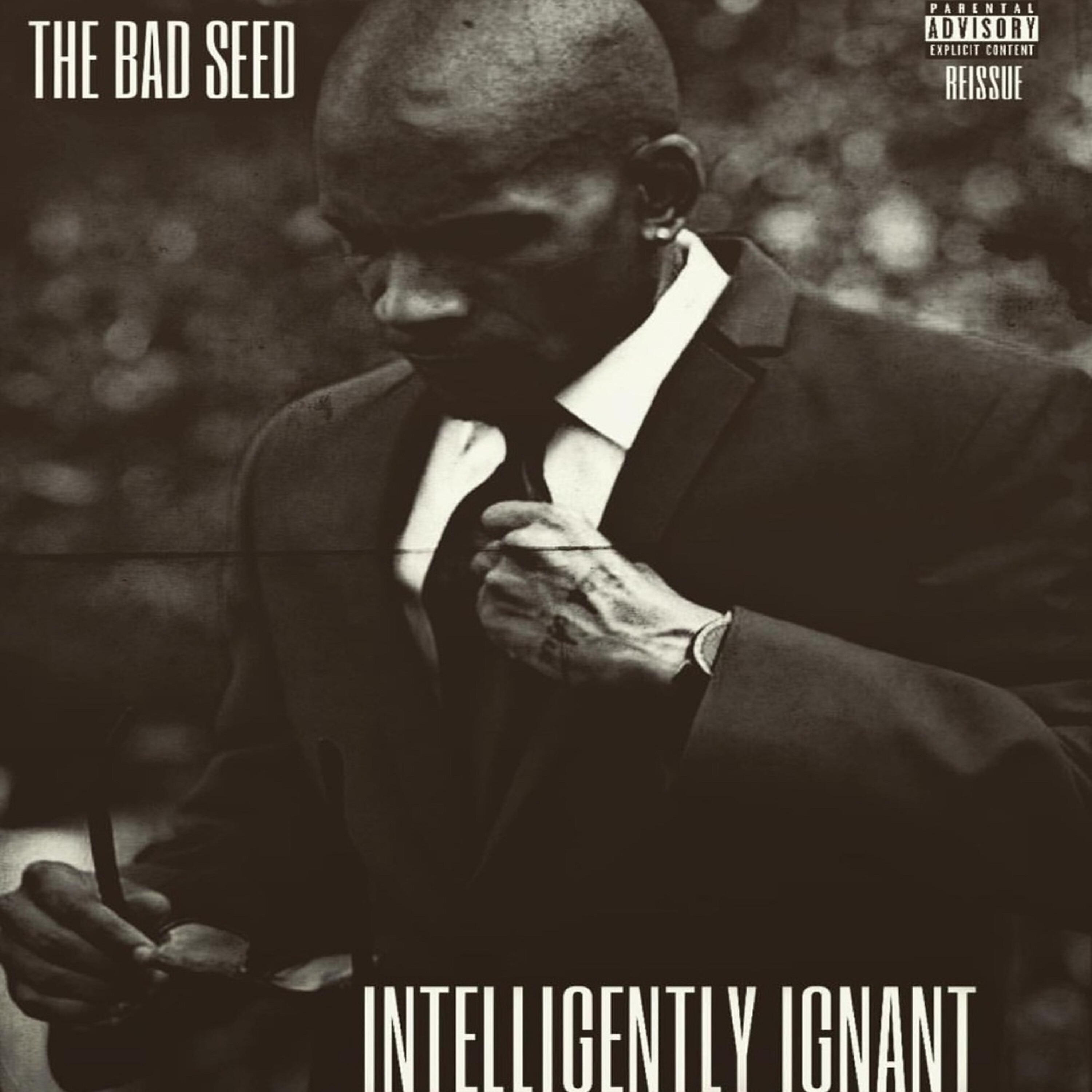 Релиз Intelligently Ignant