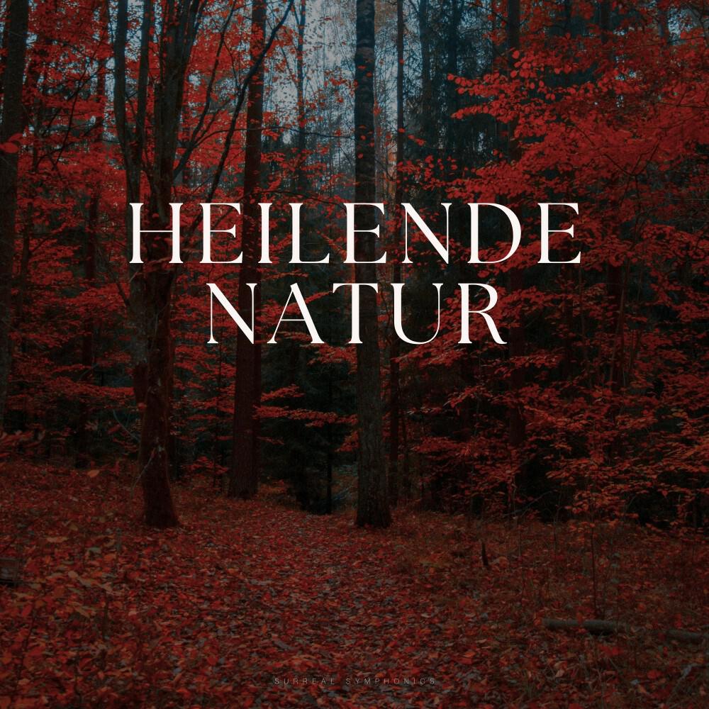 Релиз Heilende Natur