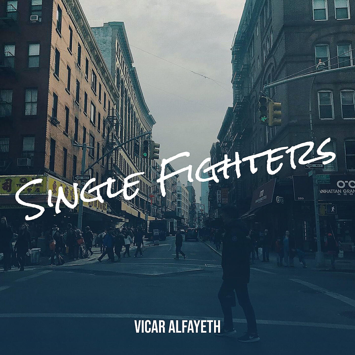 Релиз Single Fighters