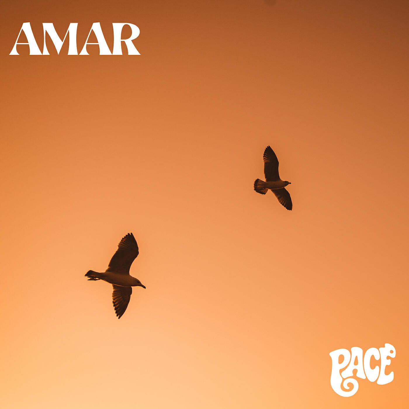 Релиз Amar