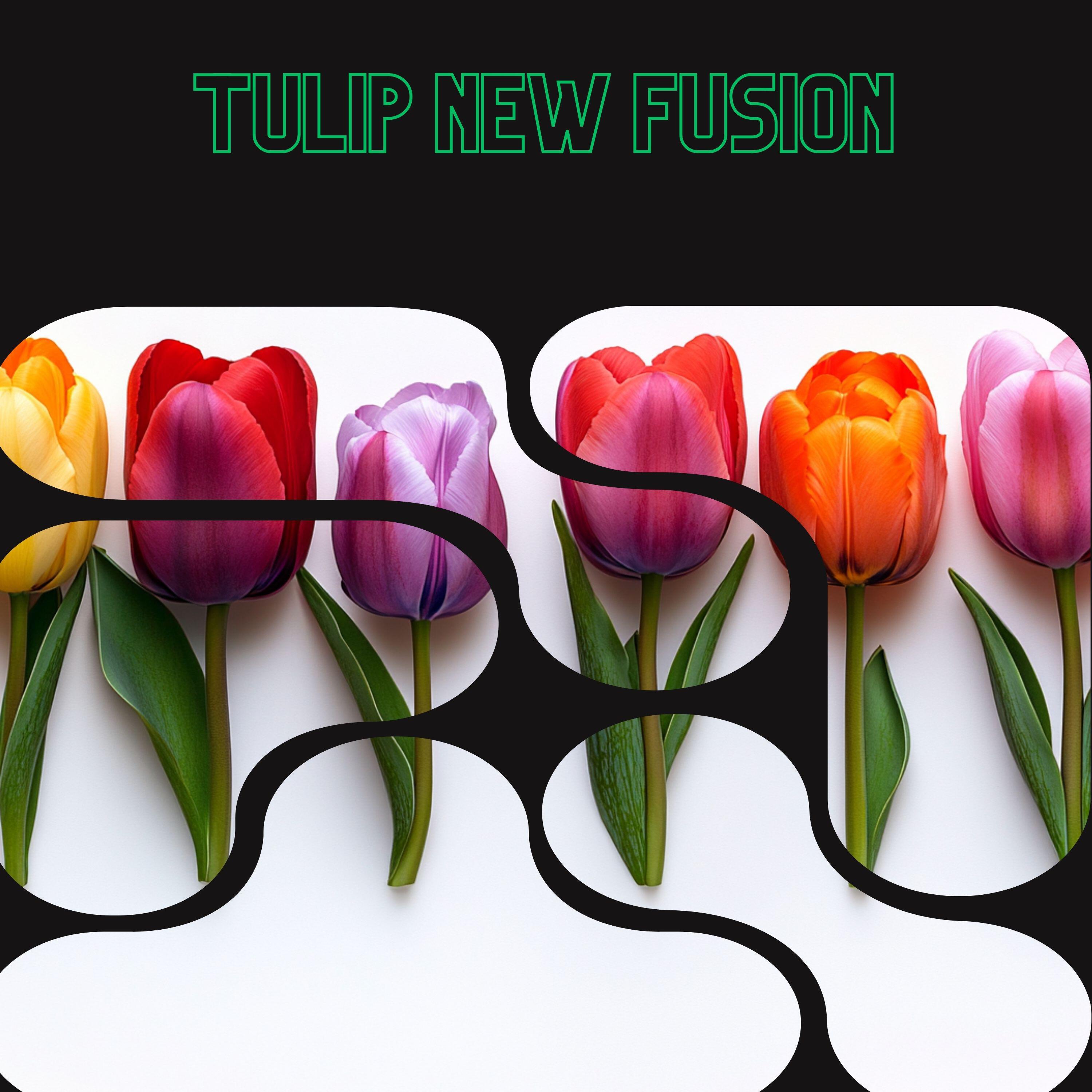 Релиз Tulip New Fusion - Floral Health