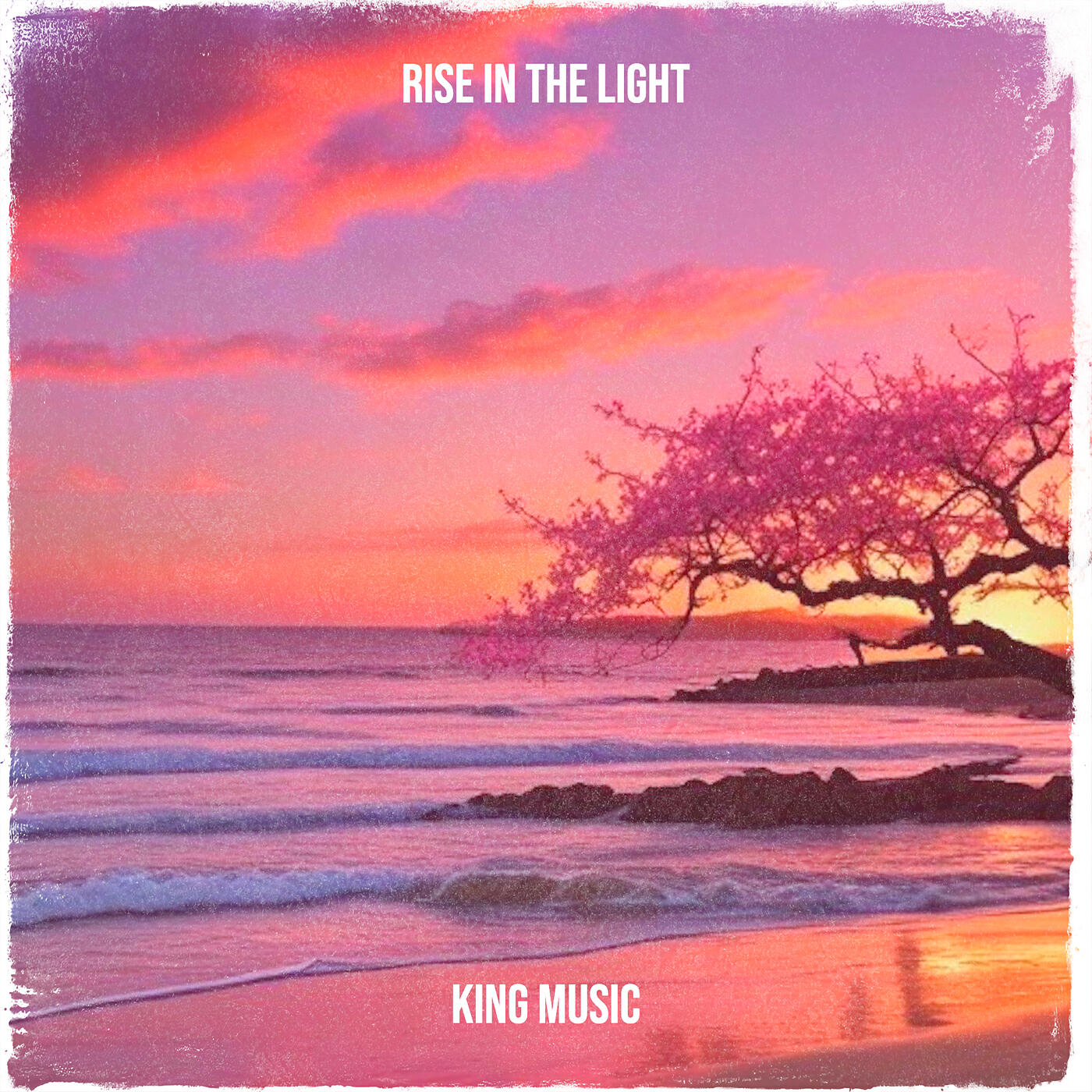 Релиз Rise in the Light