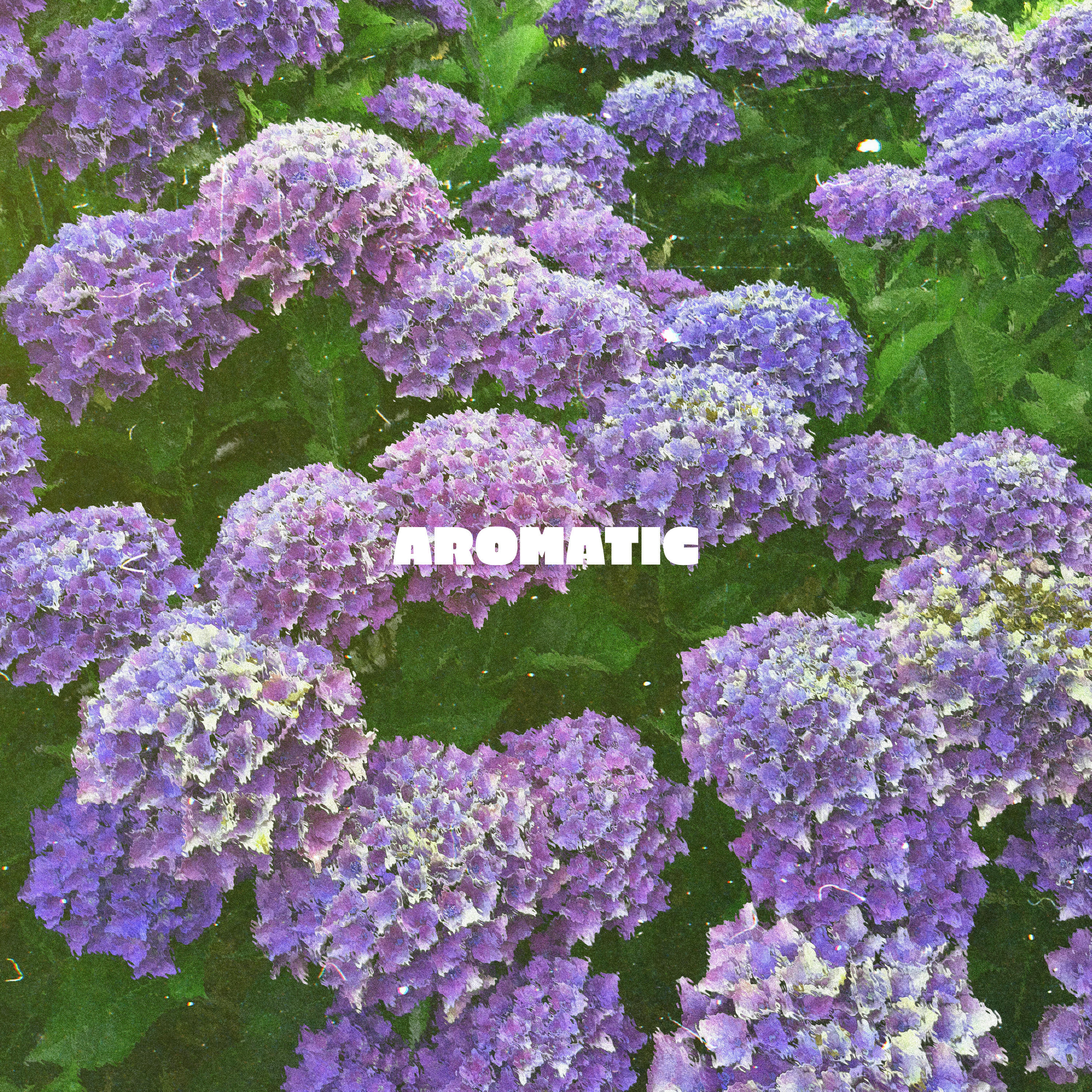 Релиз Aromatic