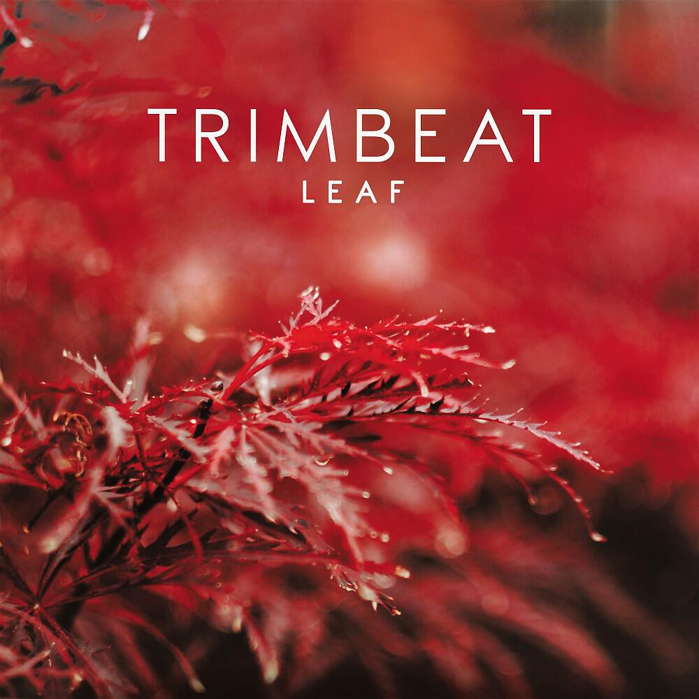 Релиз Leaf