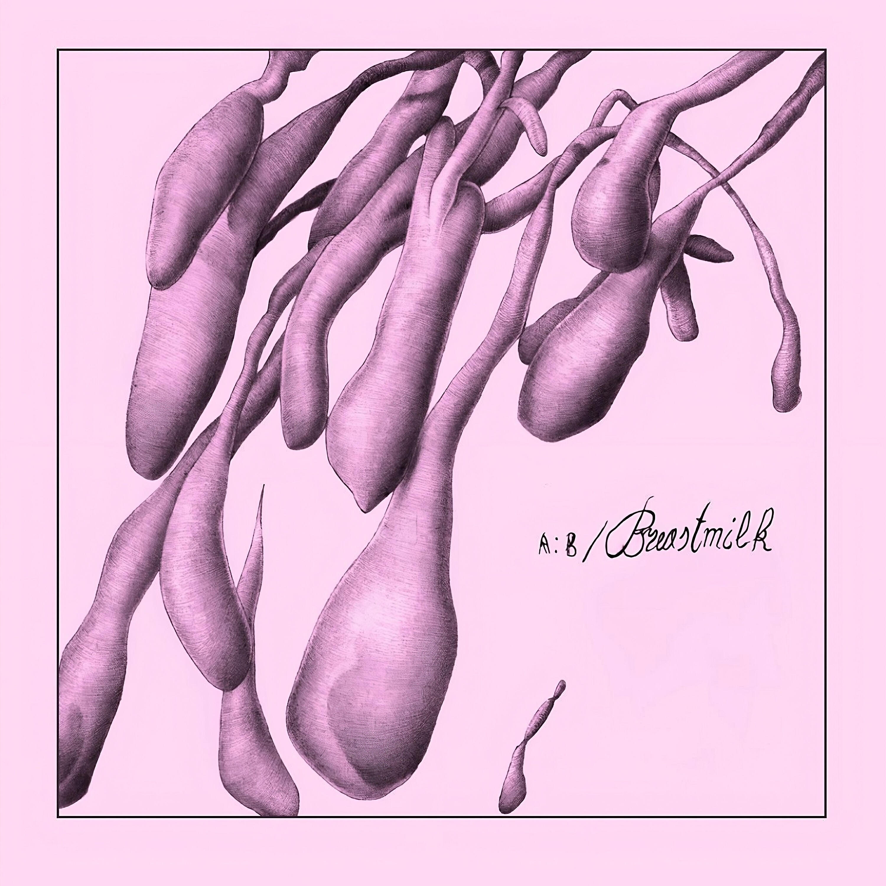 Релиз BreastMilk