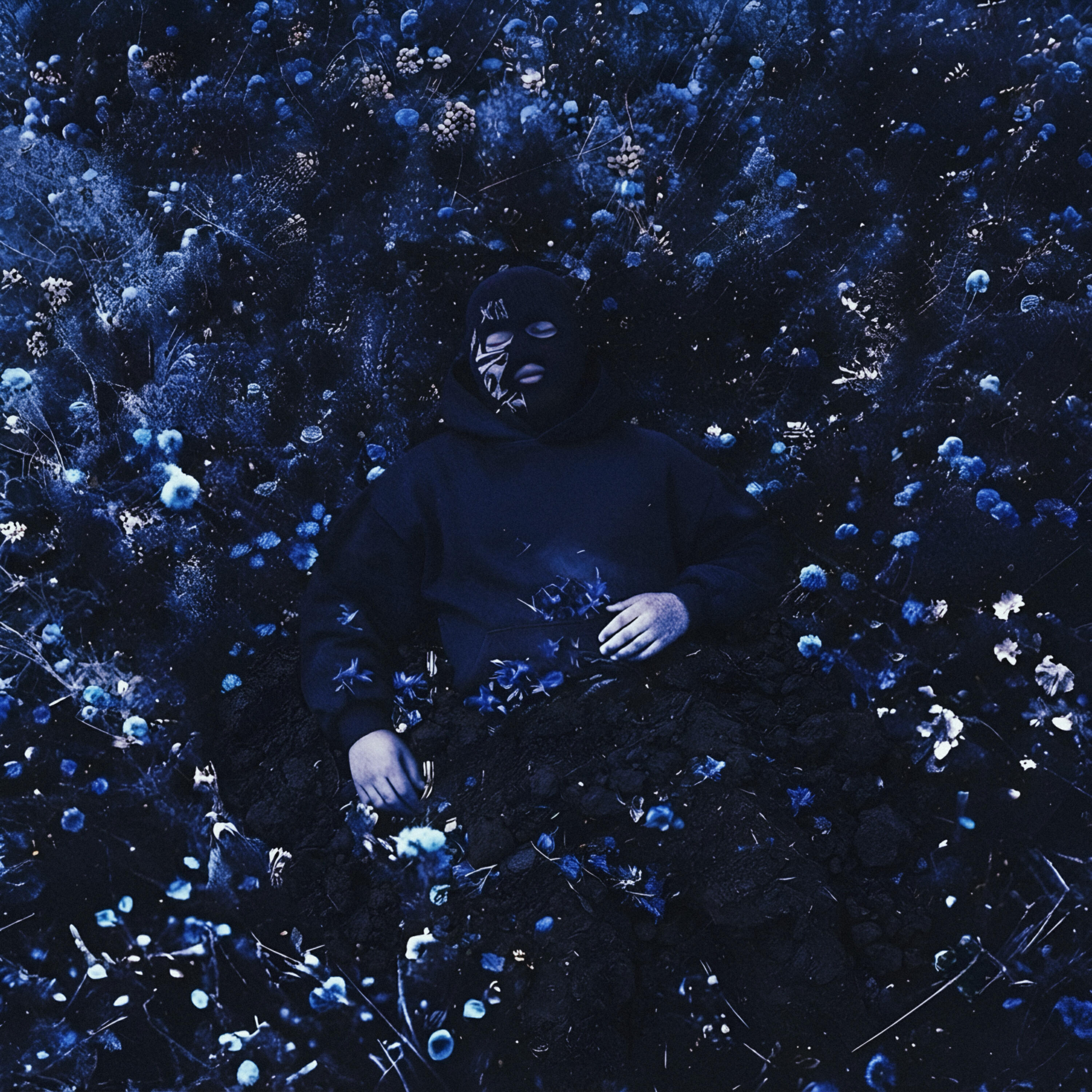 Релиз VAMPIRE