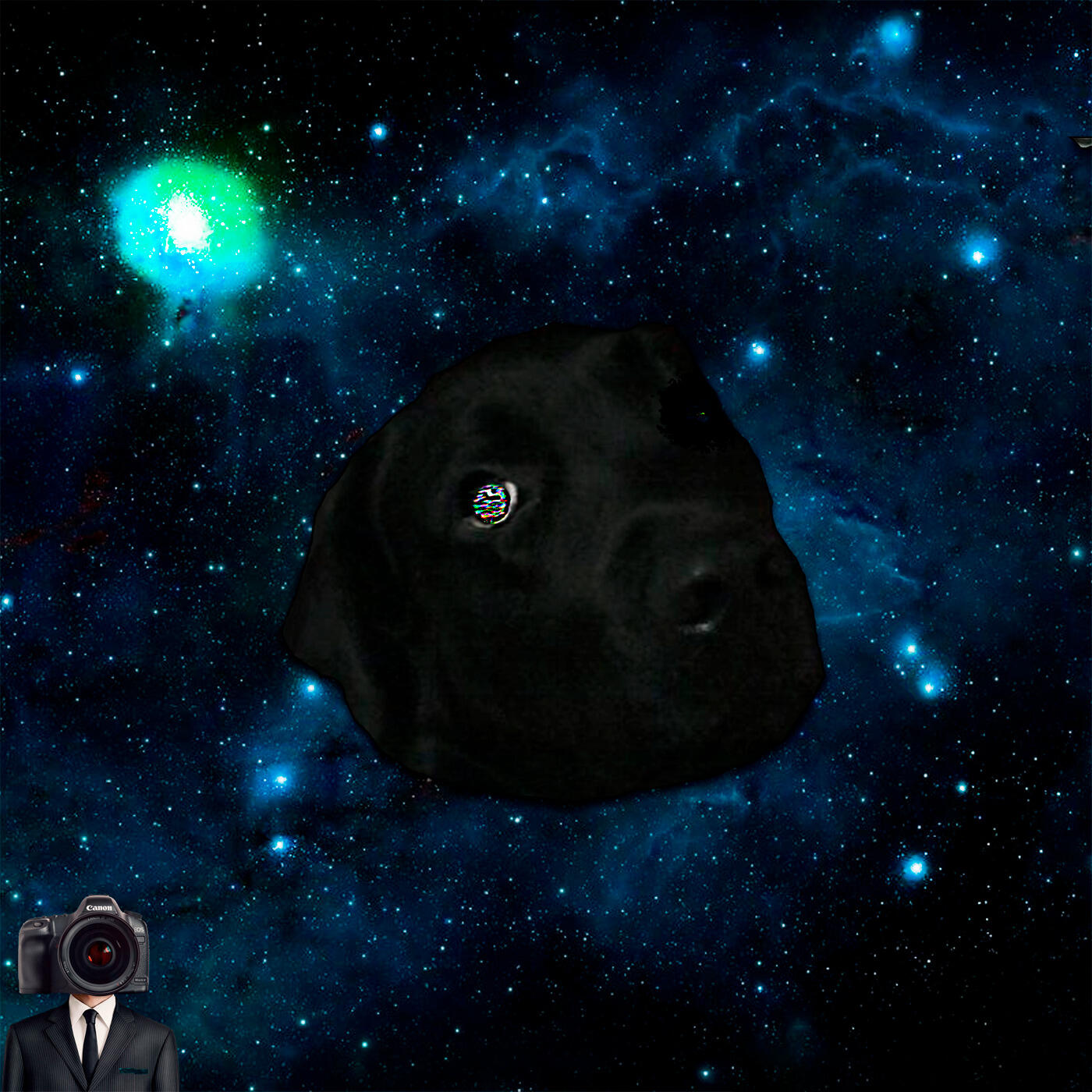 Sheezomy do