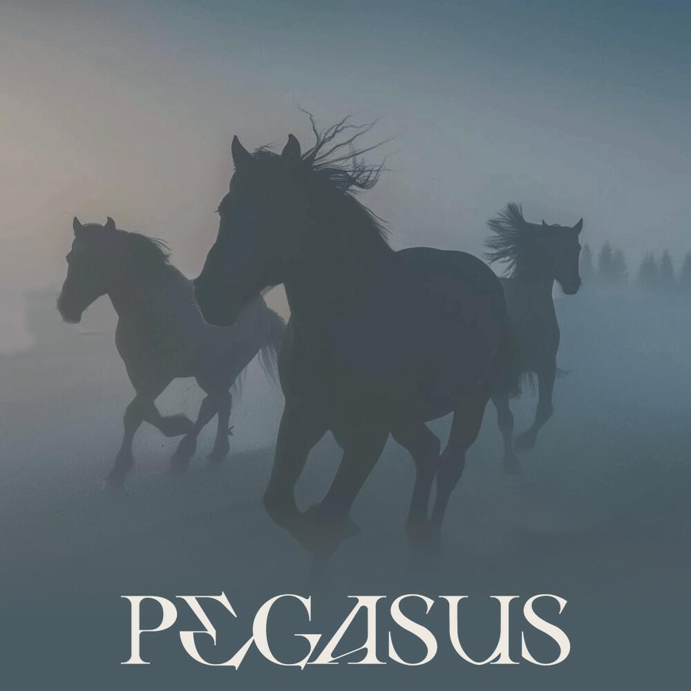 Релиз Pegasus