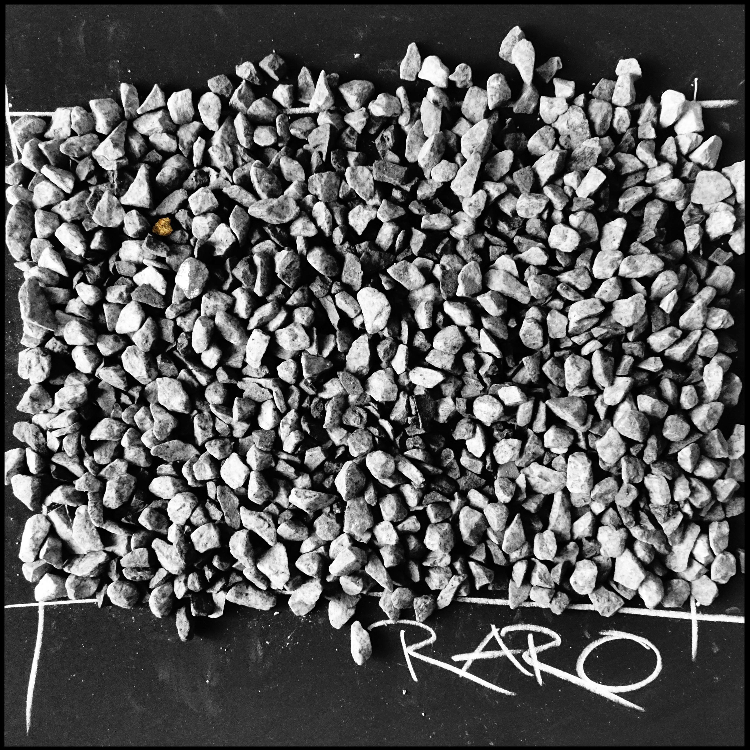 Релиз Raro