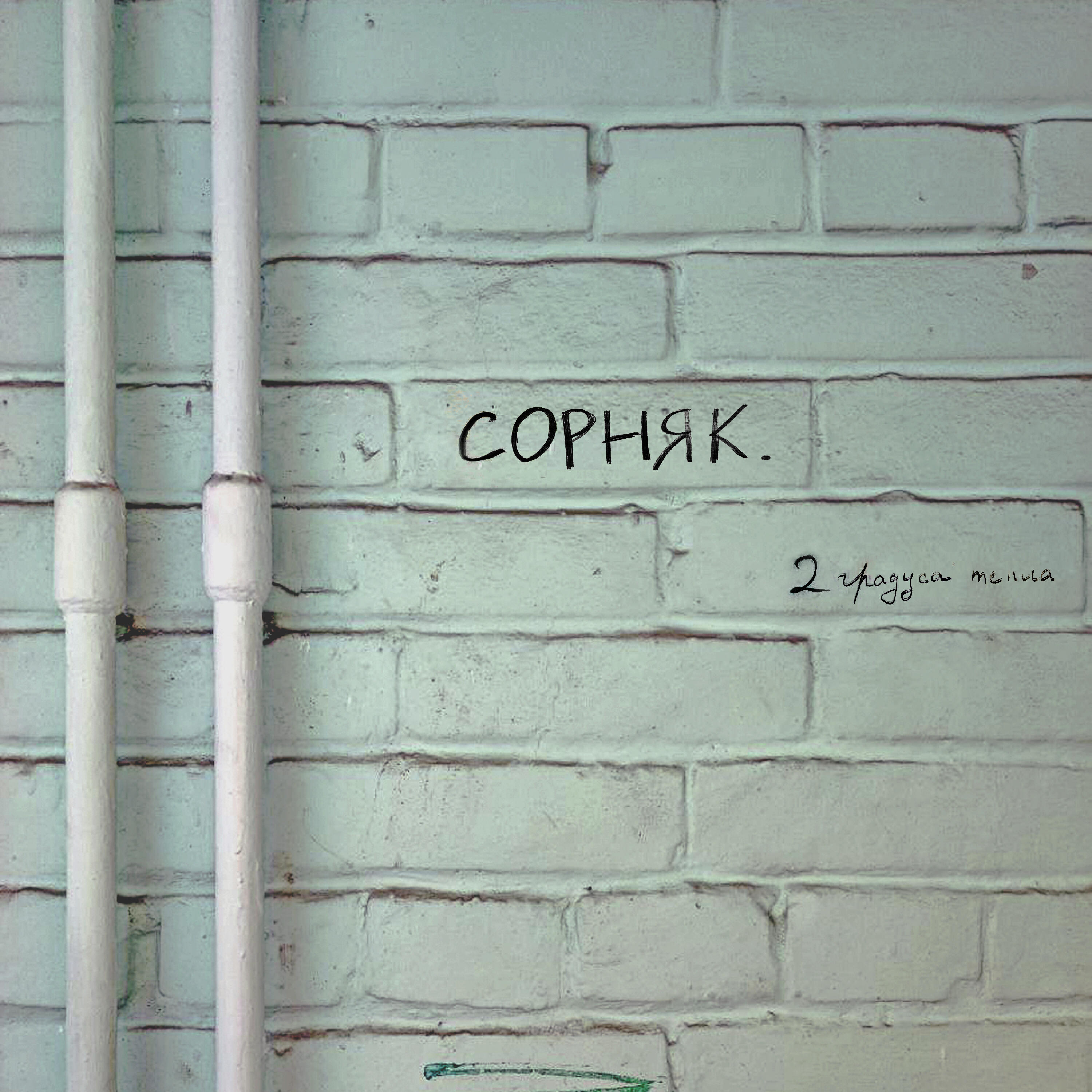 Постер альбома сорняк