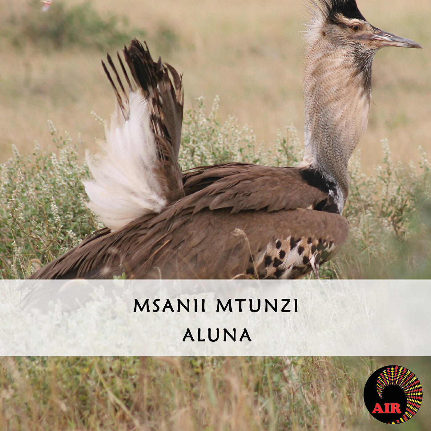 Релиз Aluna