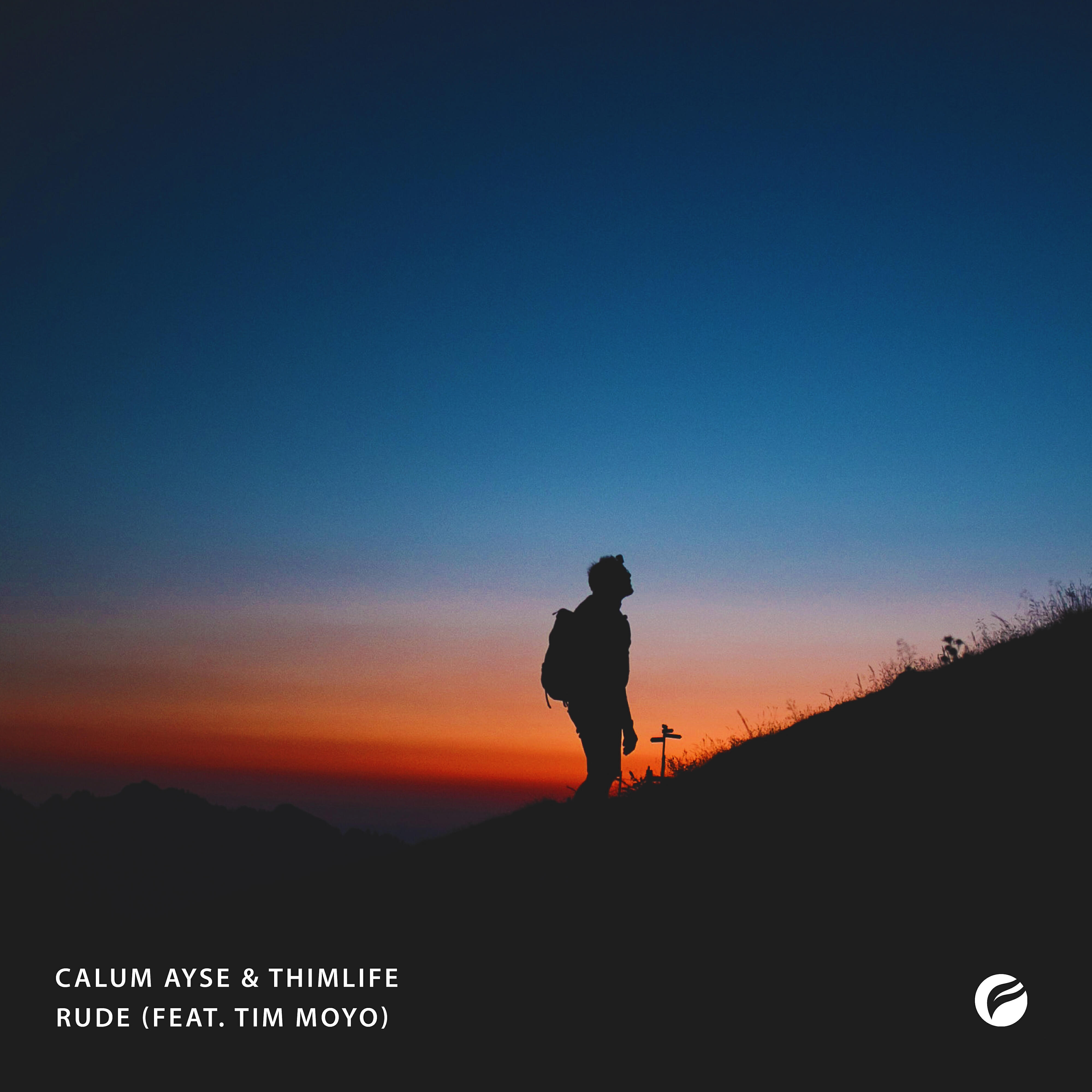 Релиз Rude (feat. Tim Moyo)