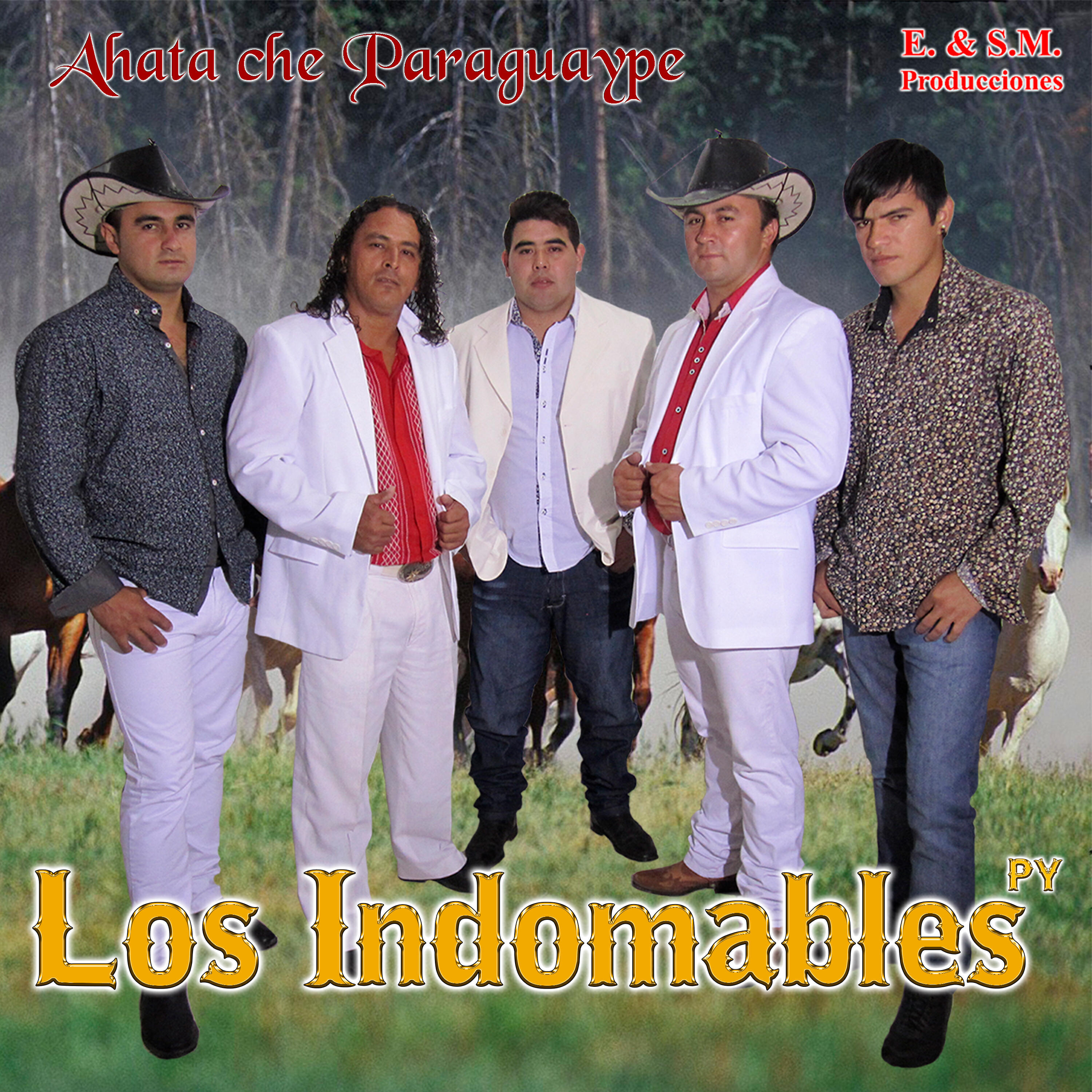 Los Indomables PY