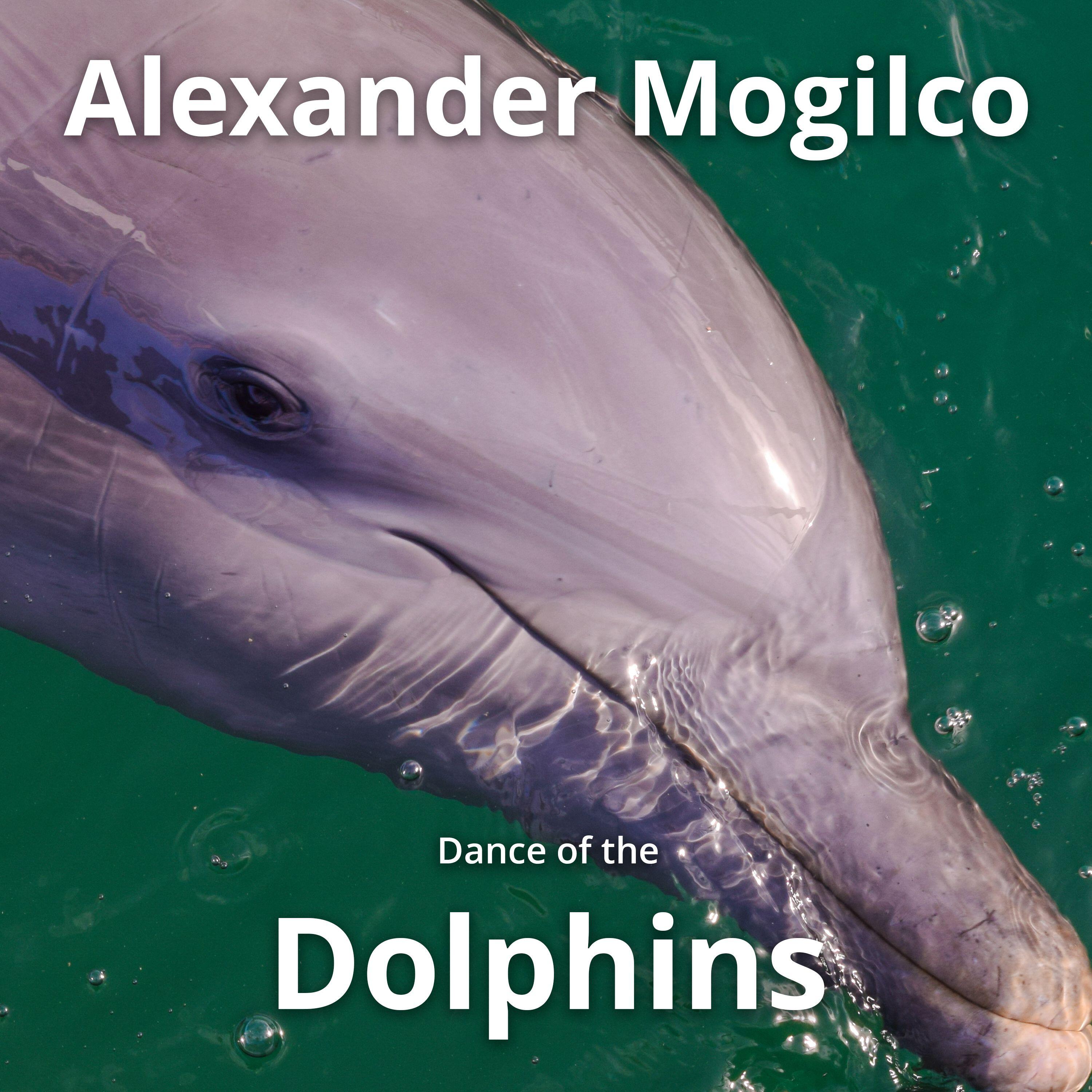 Релиз Dance of the Dolphins