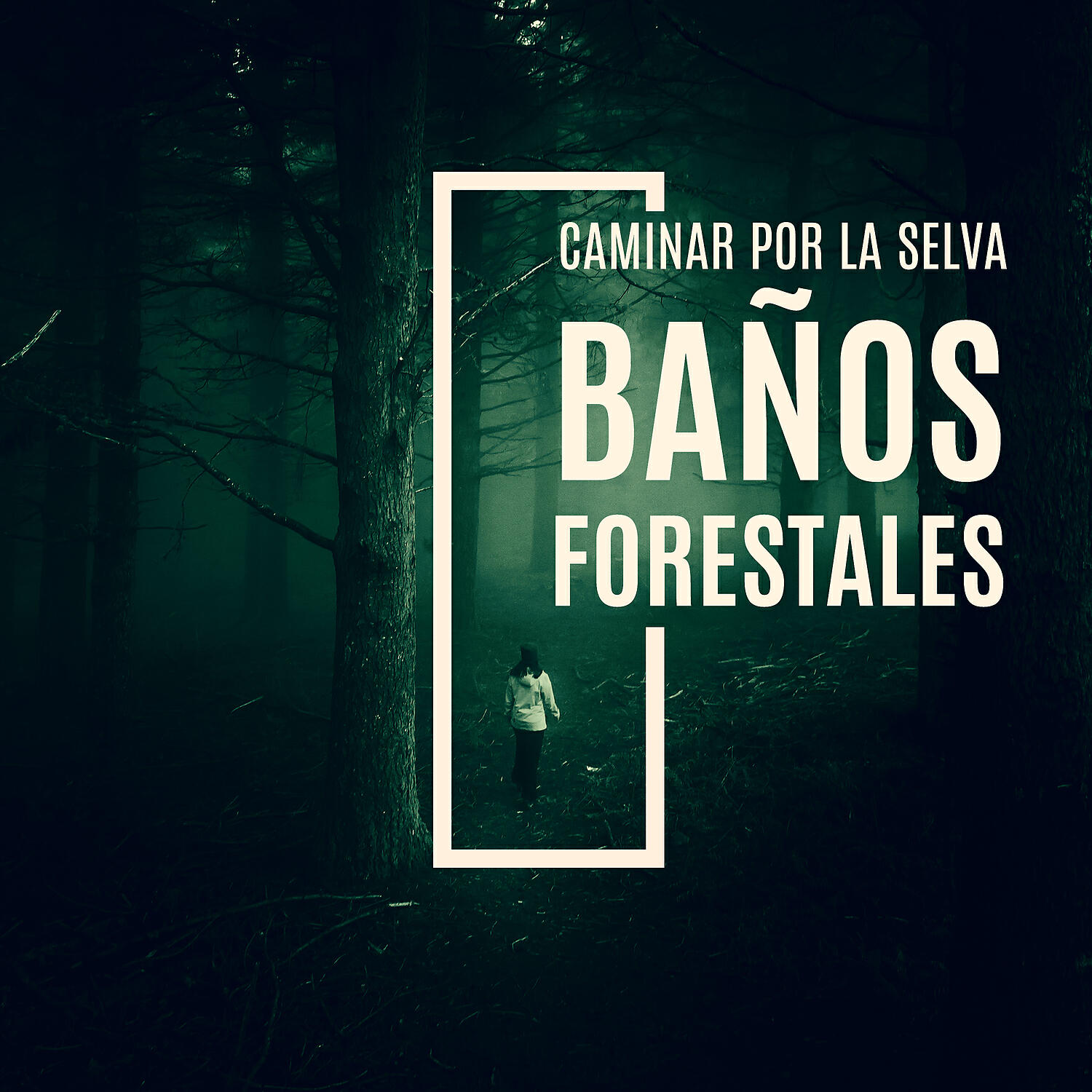 Релиз Caminar por la Selva: Baños Forestales, Sonidos del Bosque y Grillos