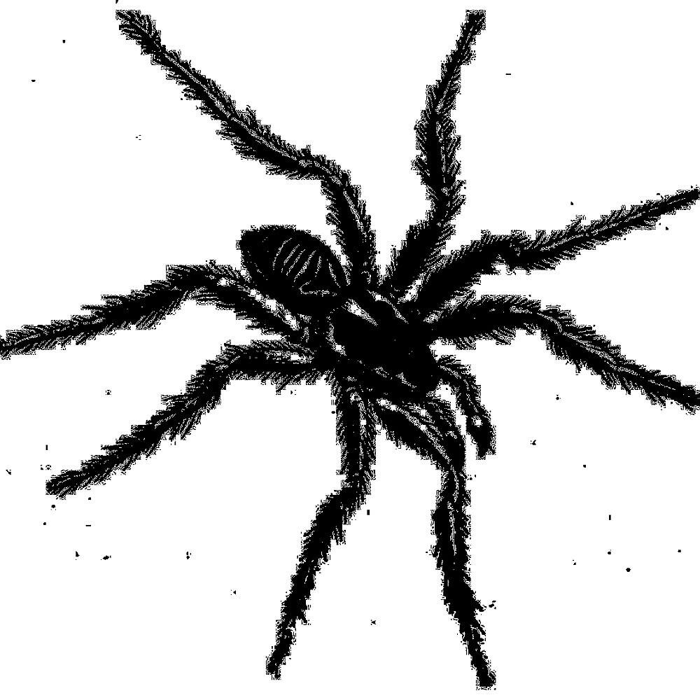 Трек Pizzica Tarantata N 015 (Uffe Rework)